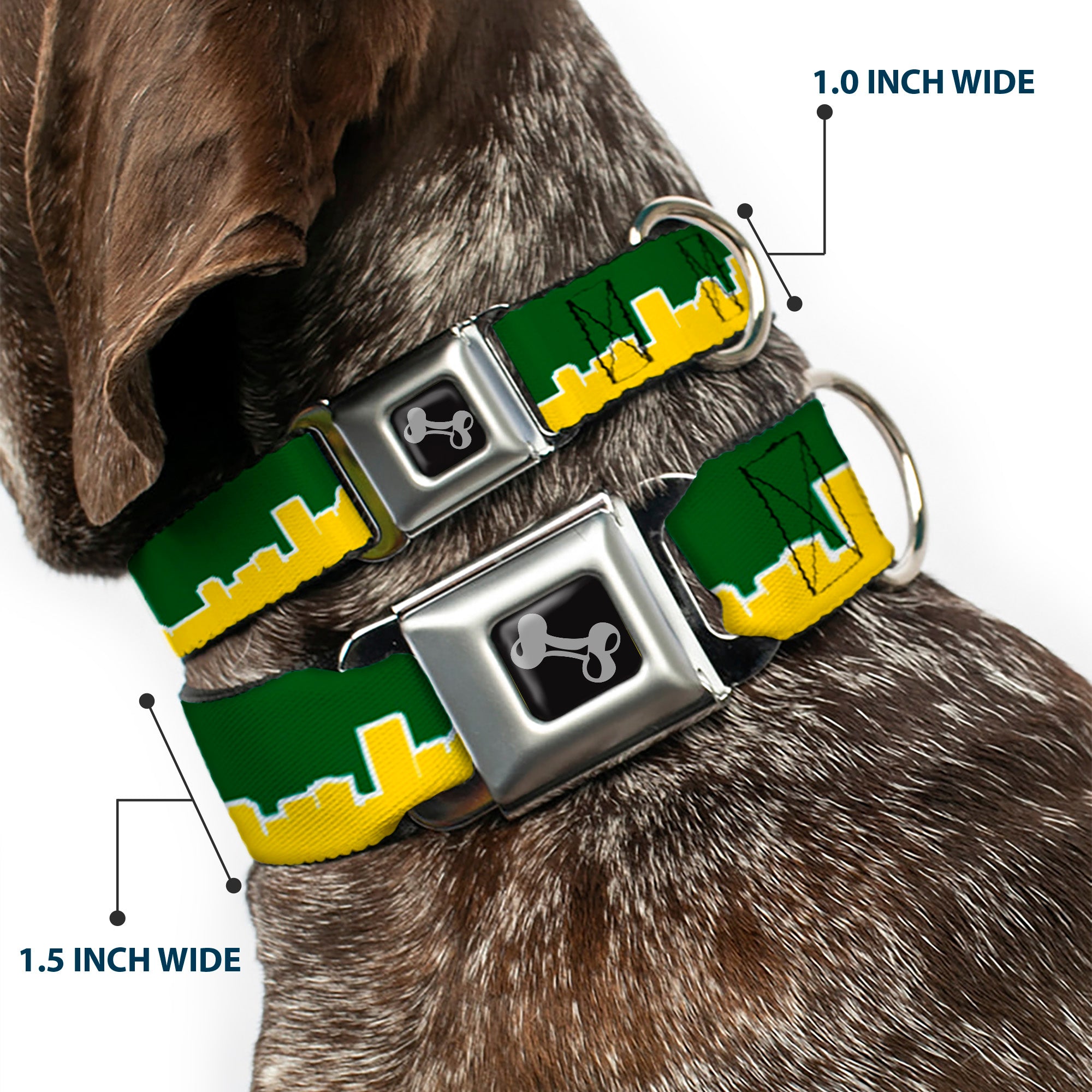 Dog Bone Seatbelt Buckle Collar - Seattle Skyline Green/Yellow Seatbelt Buckle Collars Buckle-Down