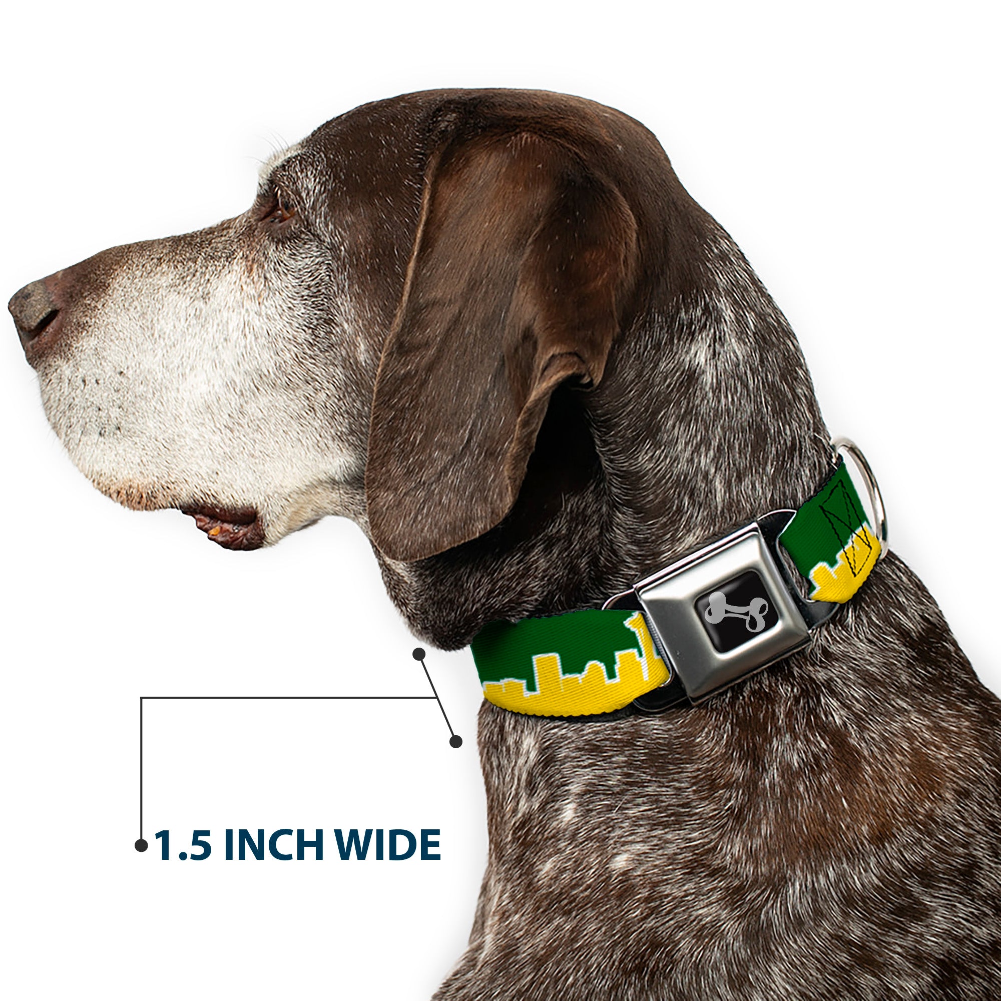 Dog Bone Seatbelt Buckle Collar - Seattle Skyline Green/Yellow Seatbelt Buckle Collars Buckle-Down