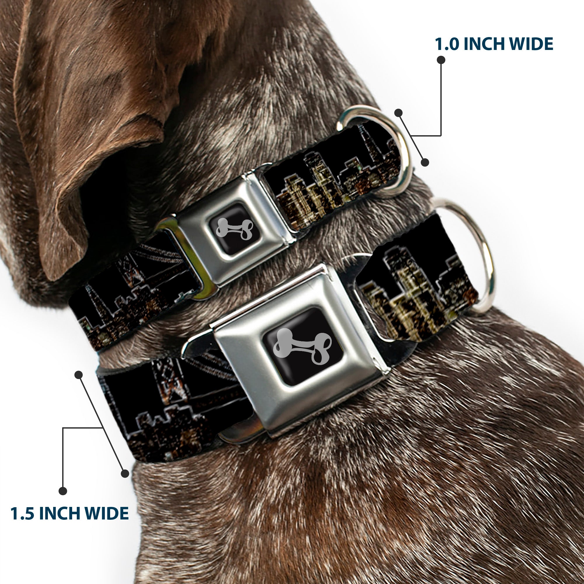 Dog Bone Seatbelt Buckle Collar - San Francisco w/Moon Vivid Skyline Black Seatbelt Buckle Collars Buckle-Down