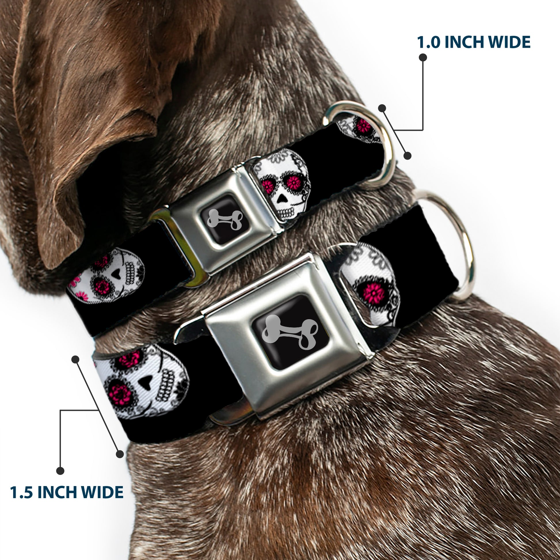 Dog Bone Seatbelt Buckle Collar - Staggered Sugar Skulls Black/White/Pink Seatbelt Buckle Collars Buckle-Down
