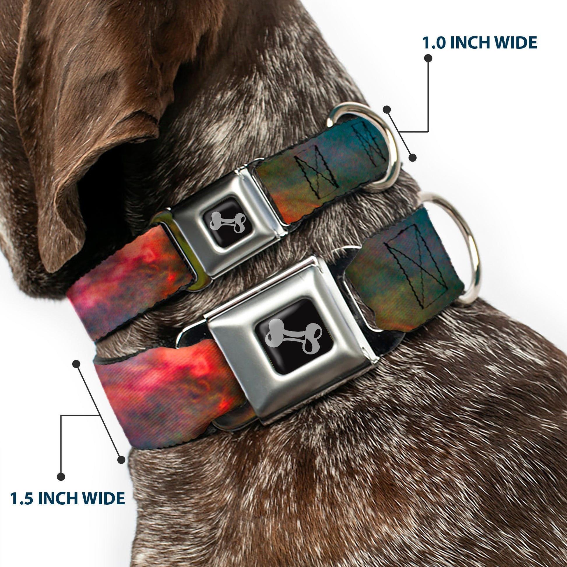 Dog Bone Seatbelt Buckle Collar - Supernova Space Collage Seatbelt Buckle Collars Buckle-Down