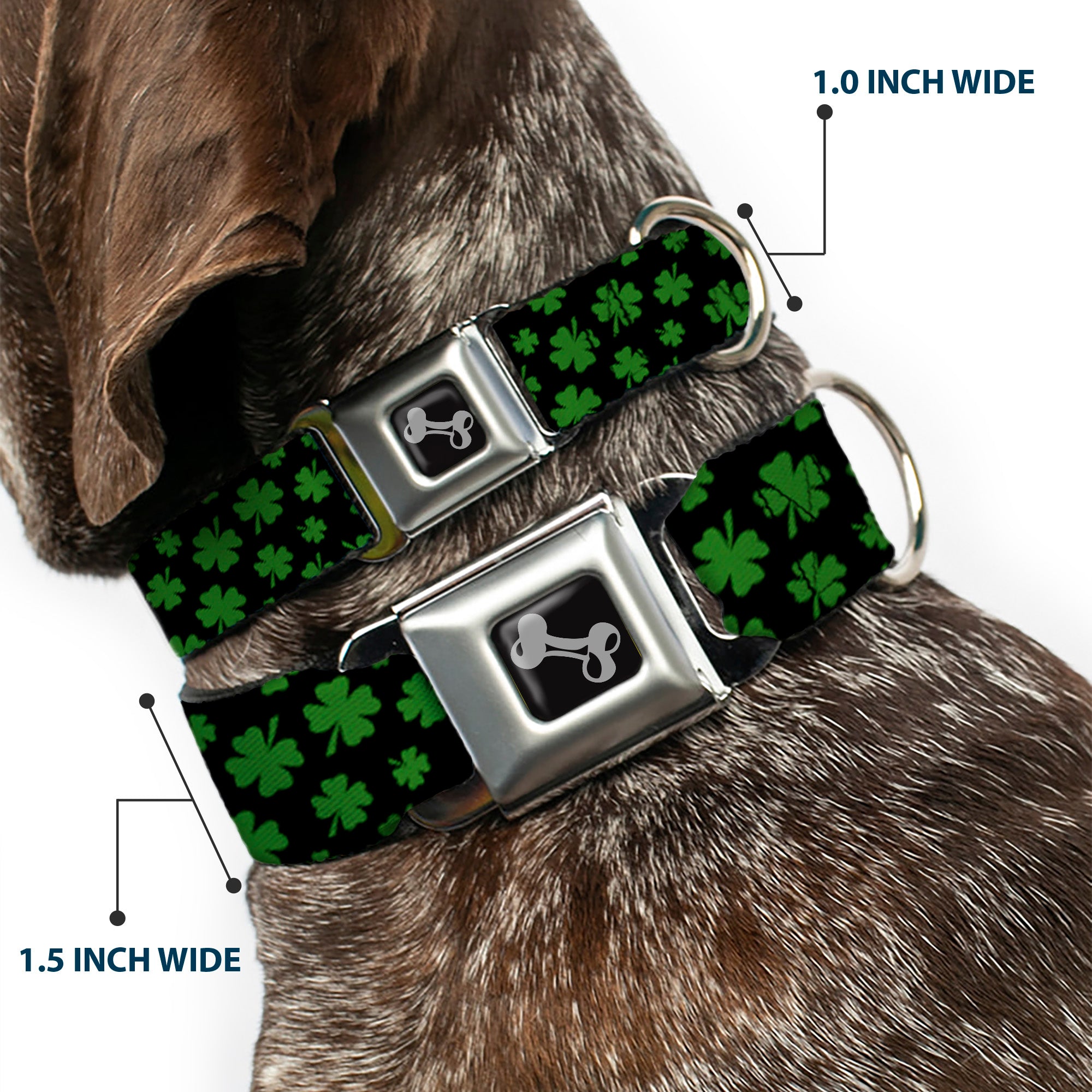 Dog Bone Seatbelt Buckle Collar - St. Pat's Clovers Scattered Black/Green Seatbelt Buckle Collars Buckle-Down