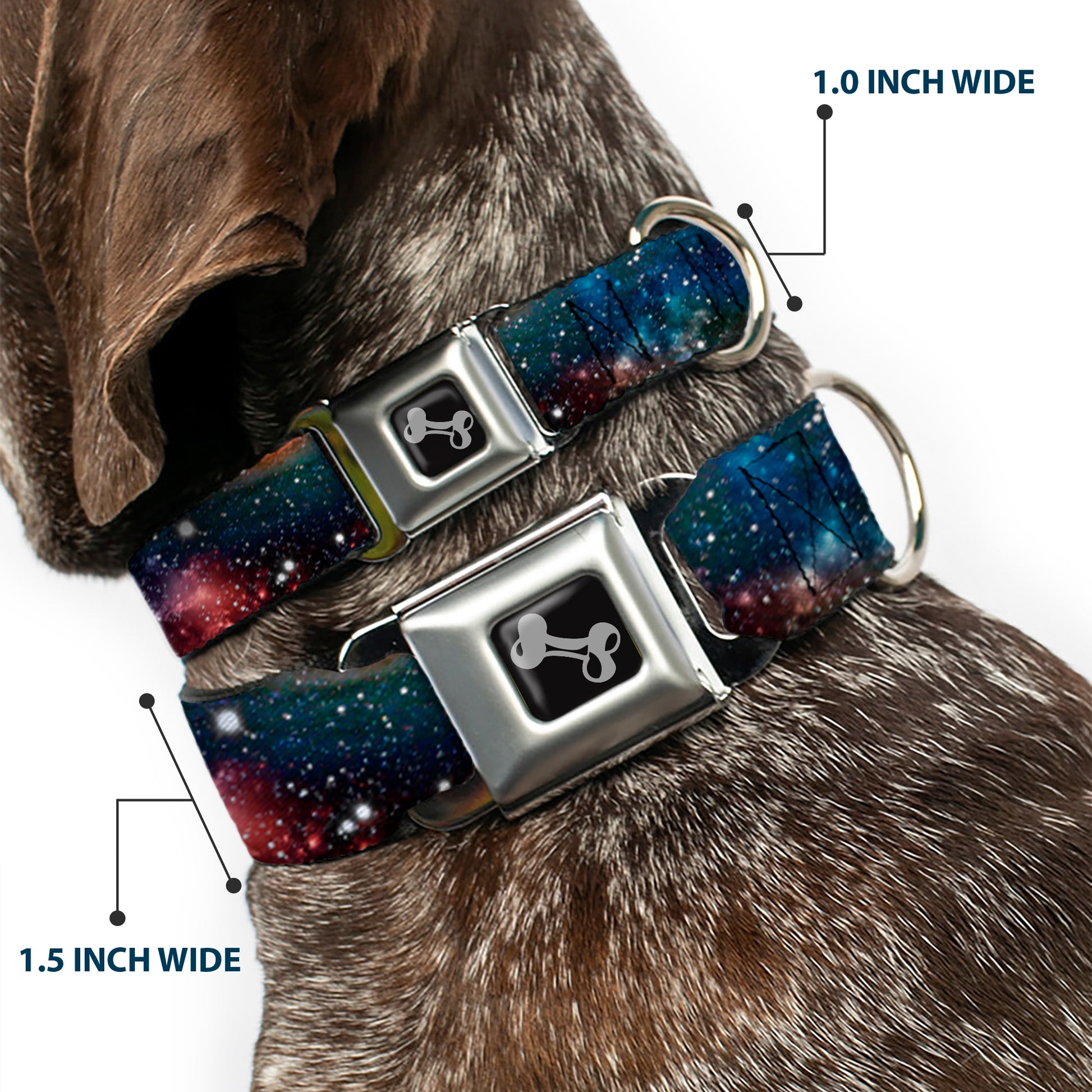 Dog Bone Seatbelt Buckle Collar - Space Dust Collage Seatbelt Buckle Collars Buckle-Down