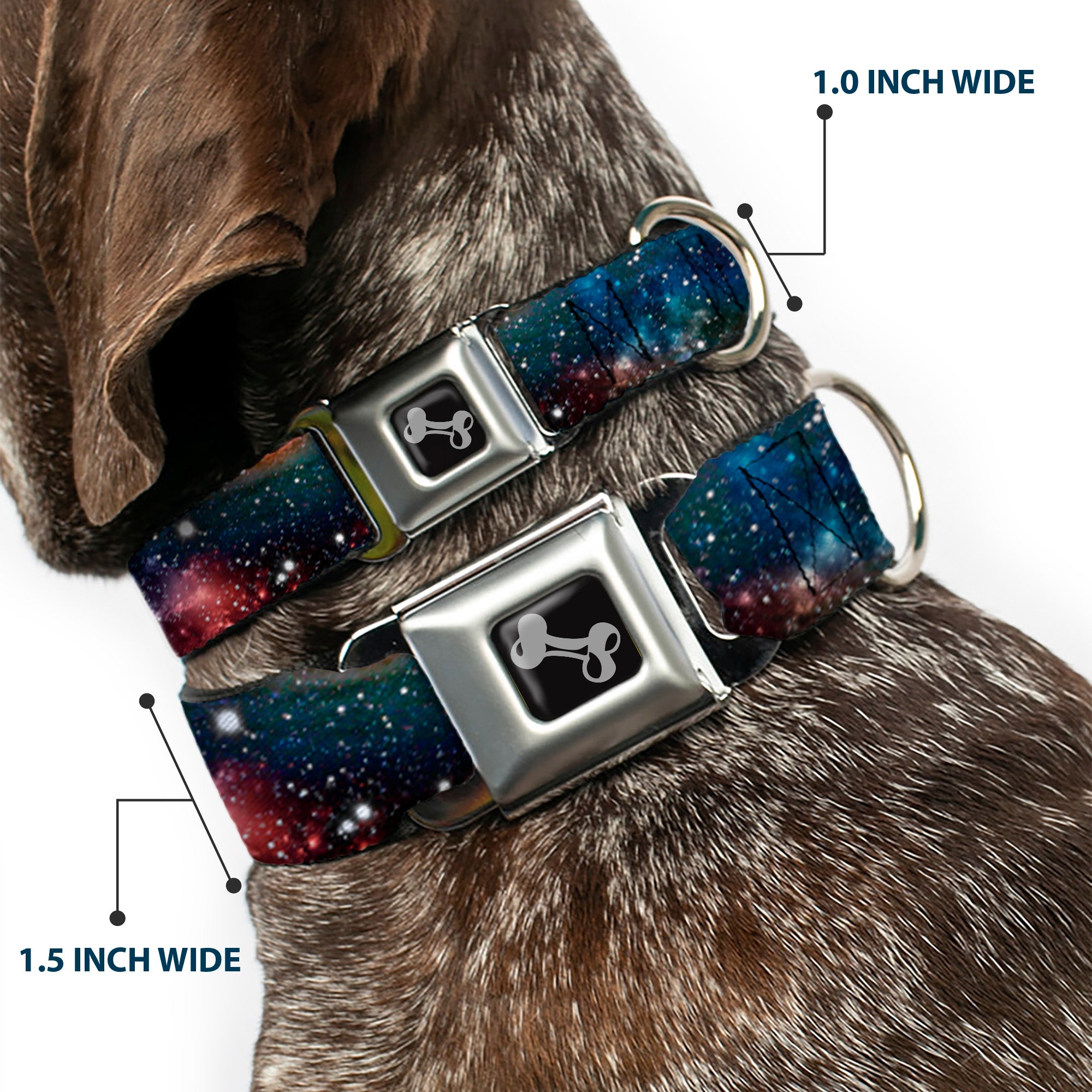 Dog Bone Seatbelt Buckle Collar - Space Dust Collage Seatbelt Buckle Collars Buckle-Down
