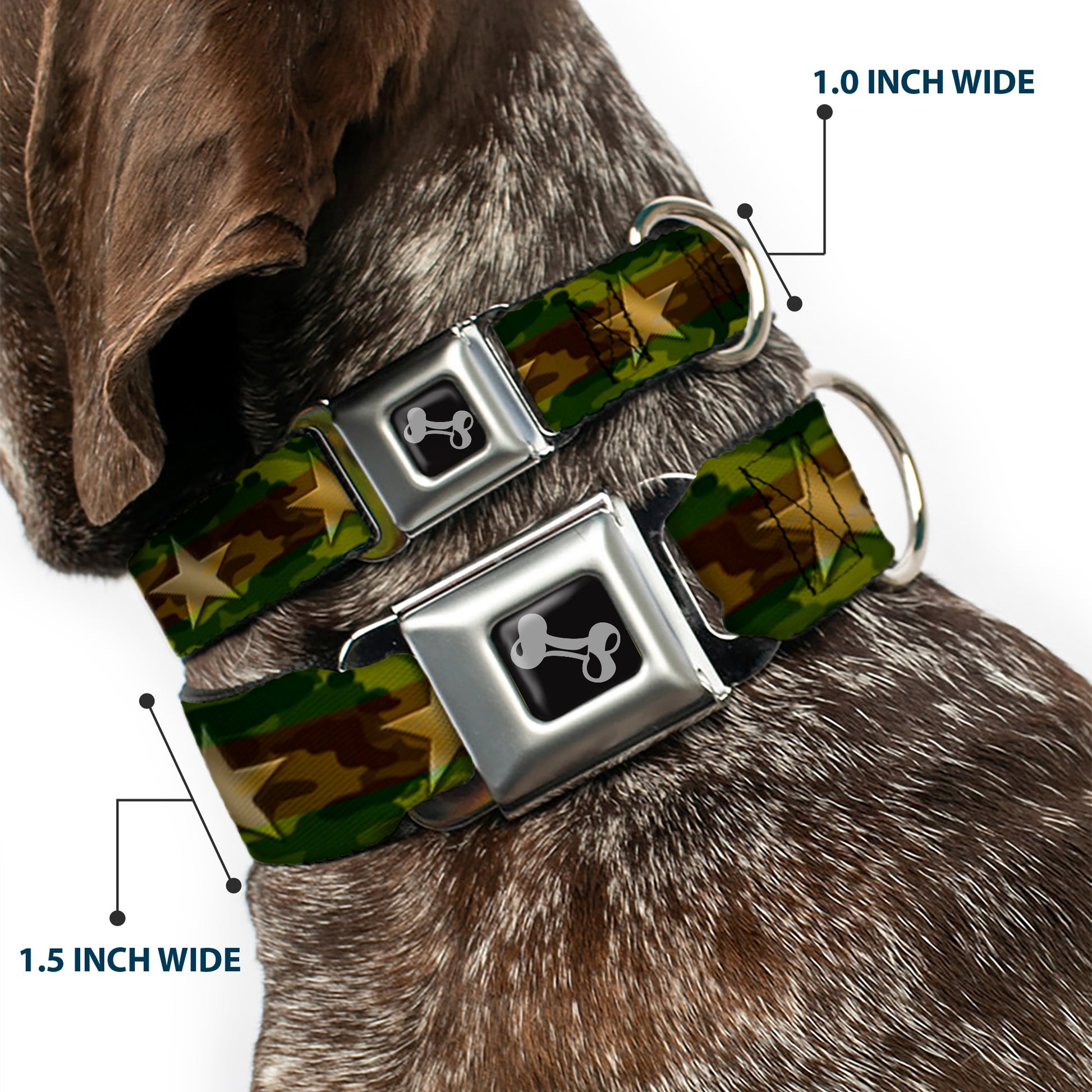 Dog Bone Seatbelt Buckle Collar - Star Camo Olive/Gold Seatbelt Buckle Collars Buckle-Down