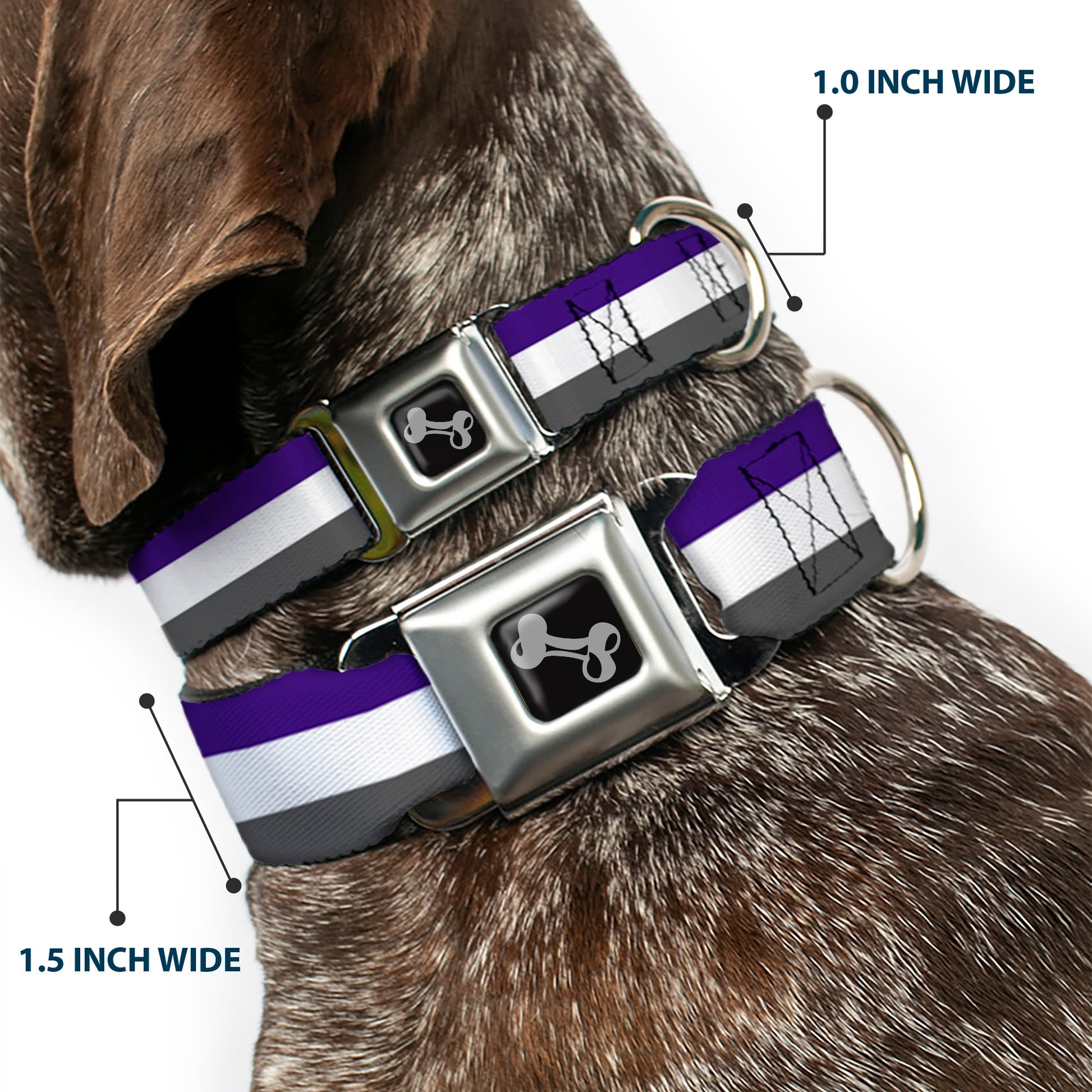 Dog Bone Black/Silver Seatbelt Buckle Collar - Stripes Purple/White/Gray Seatbelt Buckle Collars Buckle-Down