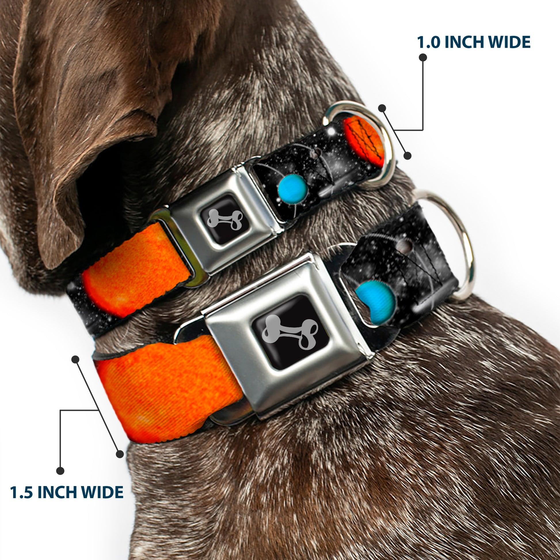 Dog Bone Seatbelt Buckle Collar - Solar System Sun/Planets/Stars Seatbelt Buckle Collars Buckle-Down