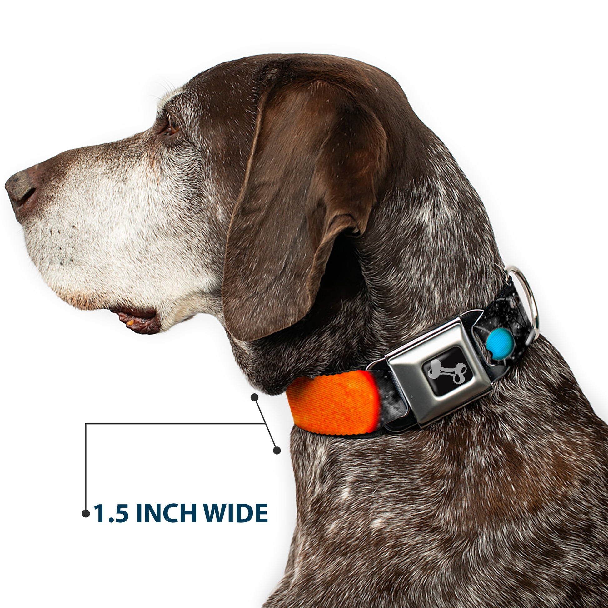 Dog Bone Seatbelt Buckle Collar - Solar System Sun/Planets/Stars Seatbelt Buckle Collars Buckle-Down