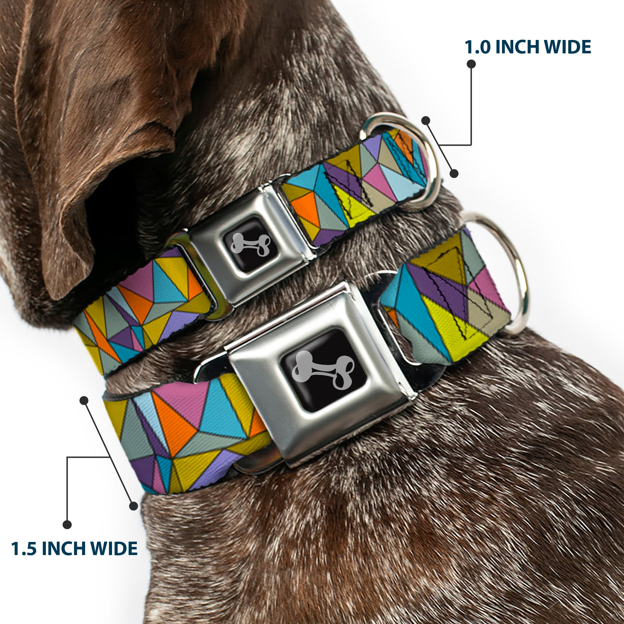 Dog Bone Seatbelt Buckle Collar - Stained Glass Mosaic Multi Color Seatbelt Buckle Collars Buckle-Down