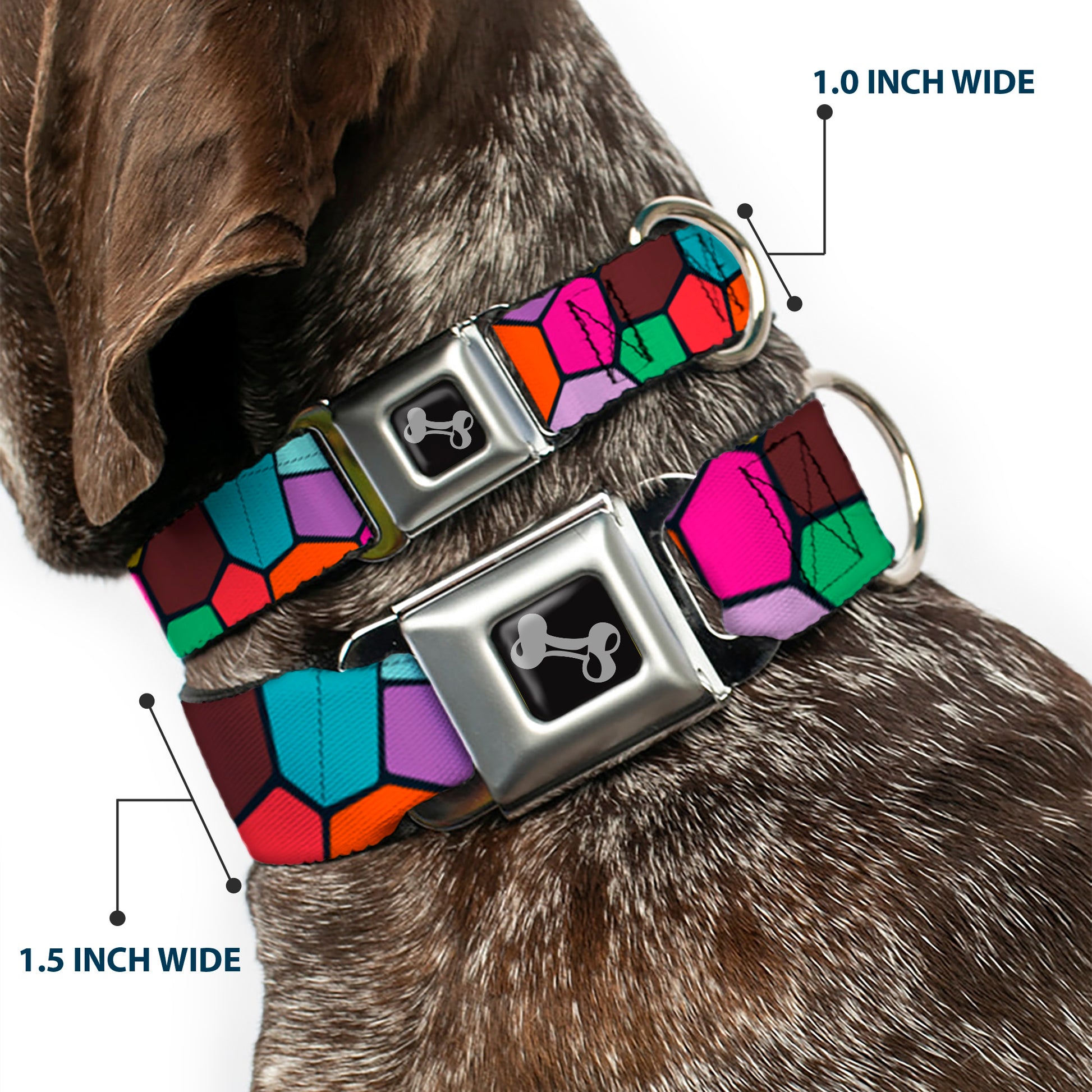 Dog Bone Seatbelt Buckle Collar - Stained Glass Mosaic2 Multi Color/Navy Seatbelt Buckle Collars Buckle-Down