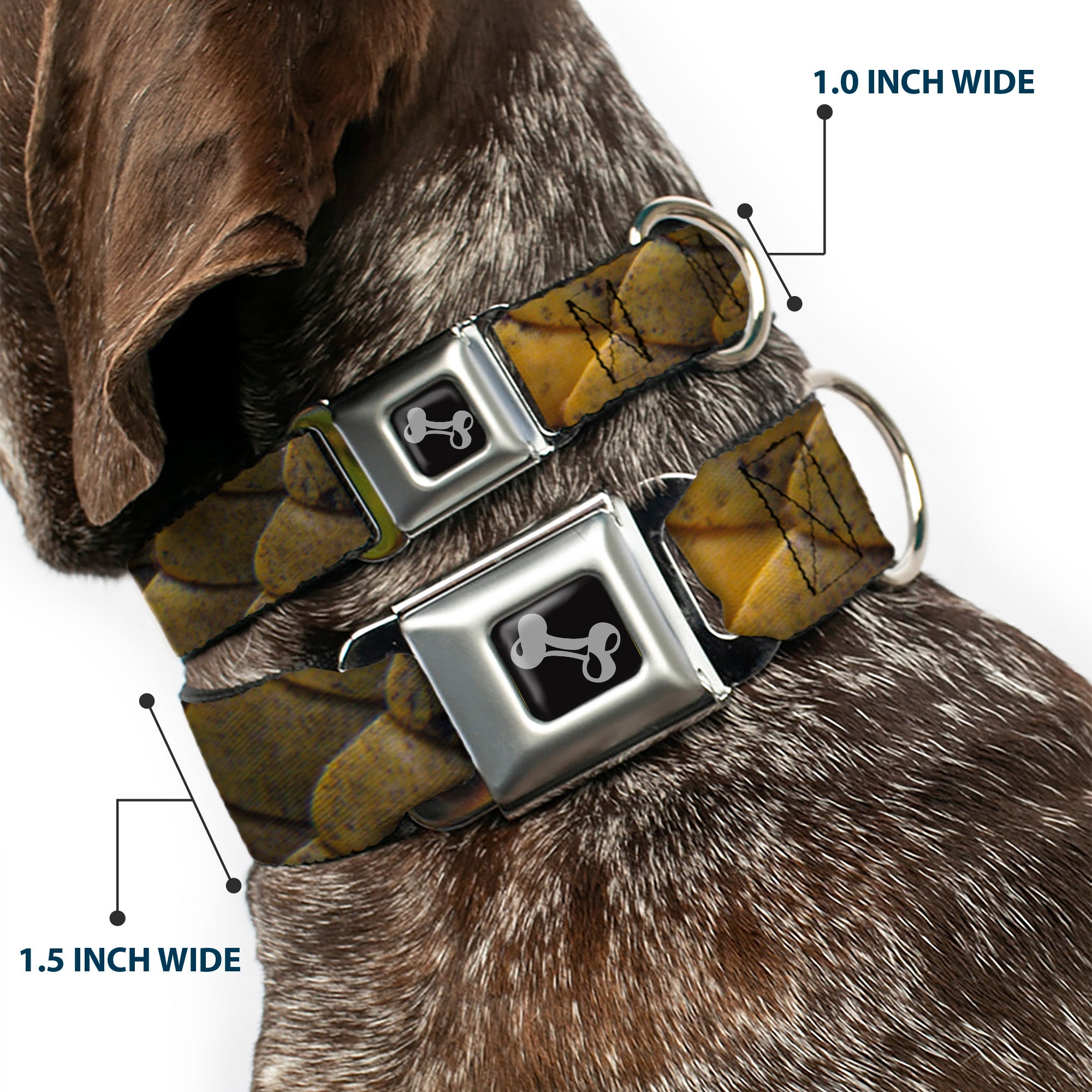 Dog Bone Seatbelt Buckle Collar - Snake Skin CLOSE-UP Seatbelt Buckle Collars Buckle-Down