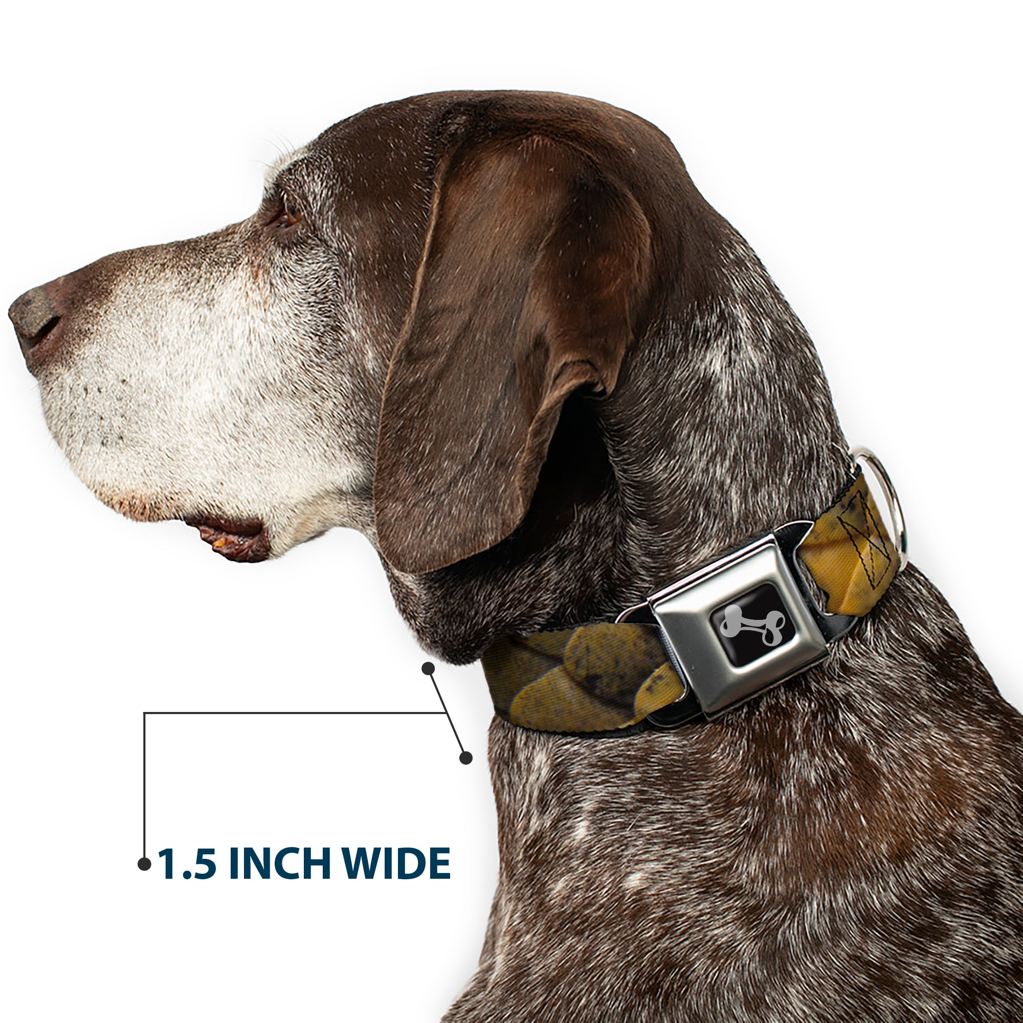 Dog Bone Seatbelt Buckle Collar - Snake Skin CLOSE-UP Seatbelt Buckle Collars Buckle-Down
