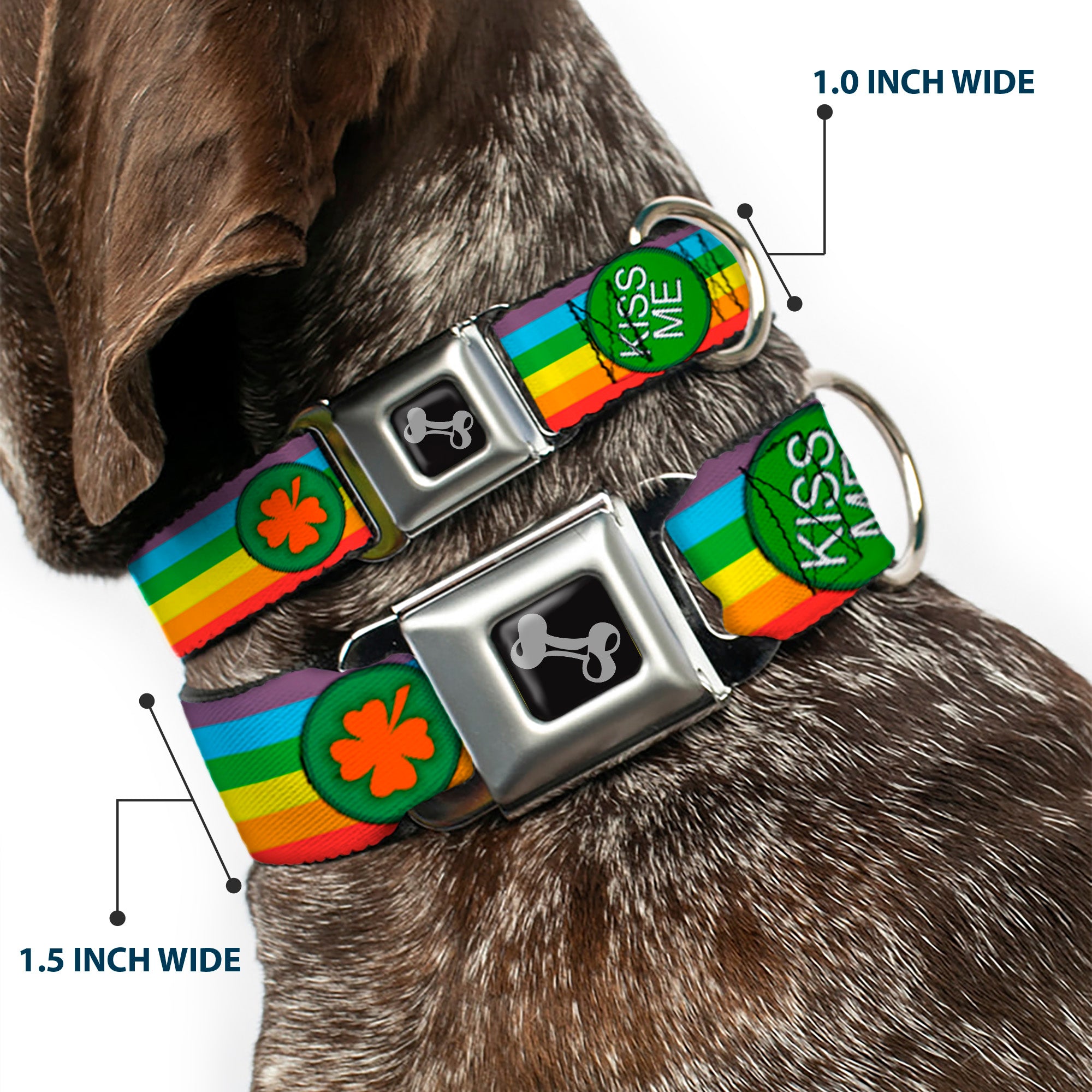 Dog Bone Seatbelt Buckle Collar - St. Pat's Rainbow/Coins Seatbelt Buckle Collars Buckle-Down