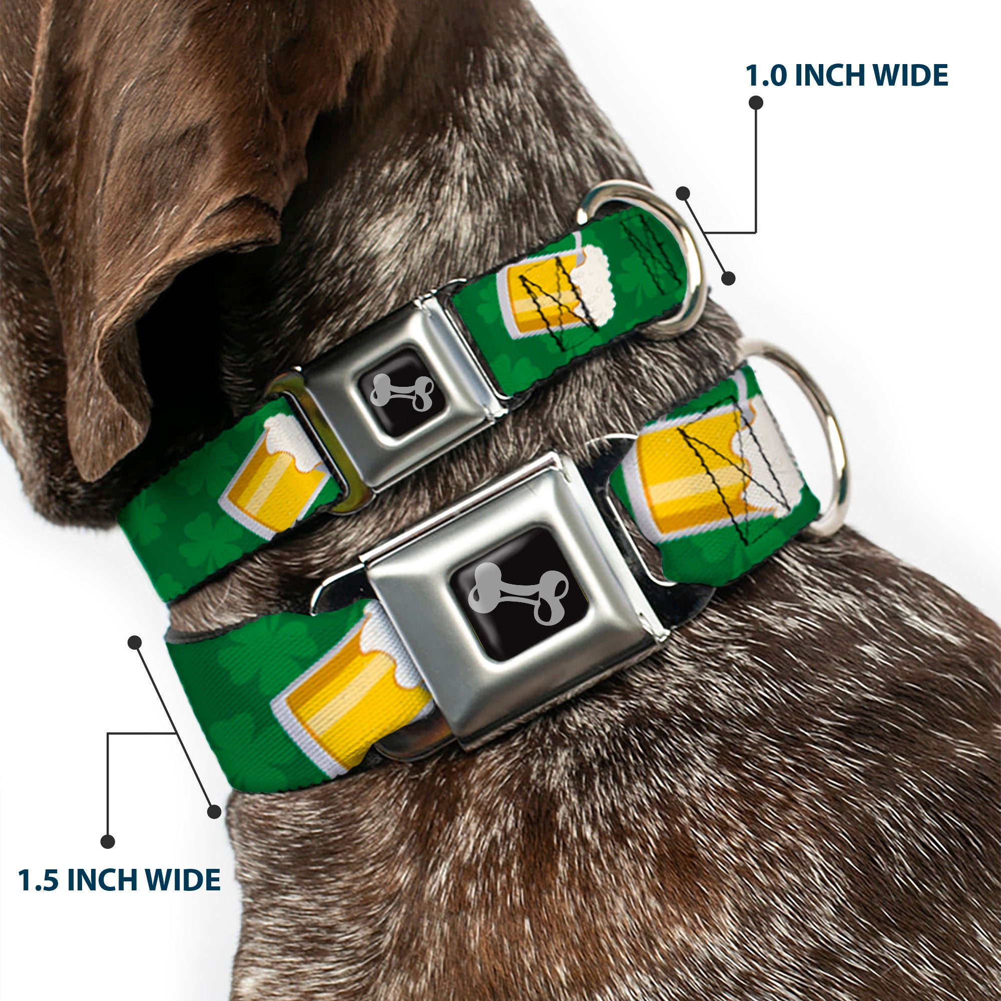 Dog Bone Seatbelt Buckle Collar - St. Pat's Clovers/Beer Mugs Greens Seatbelt Buckle Collars Buckle-Down