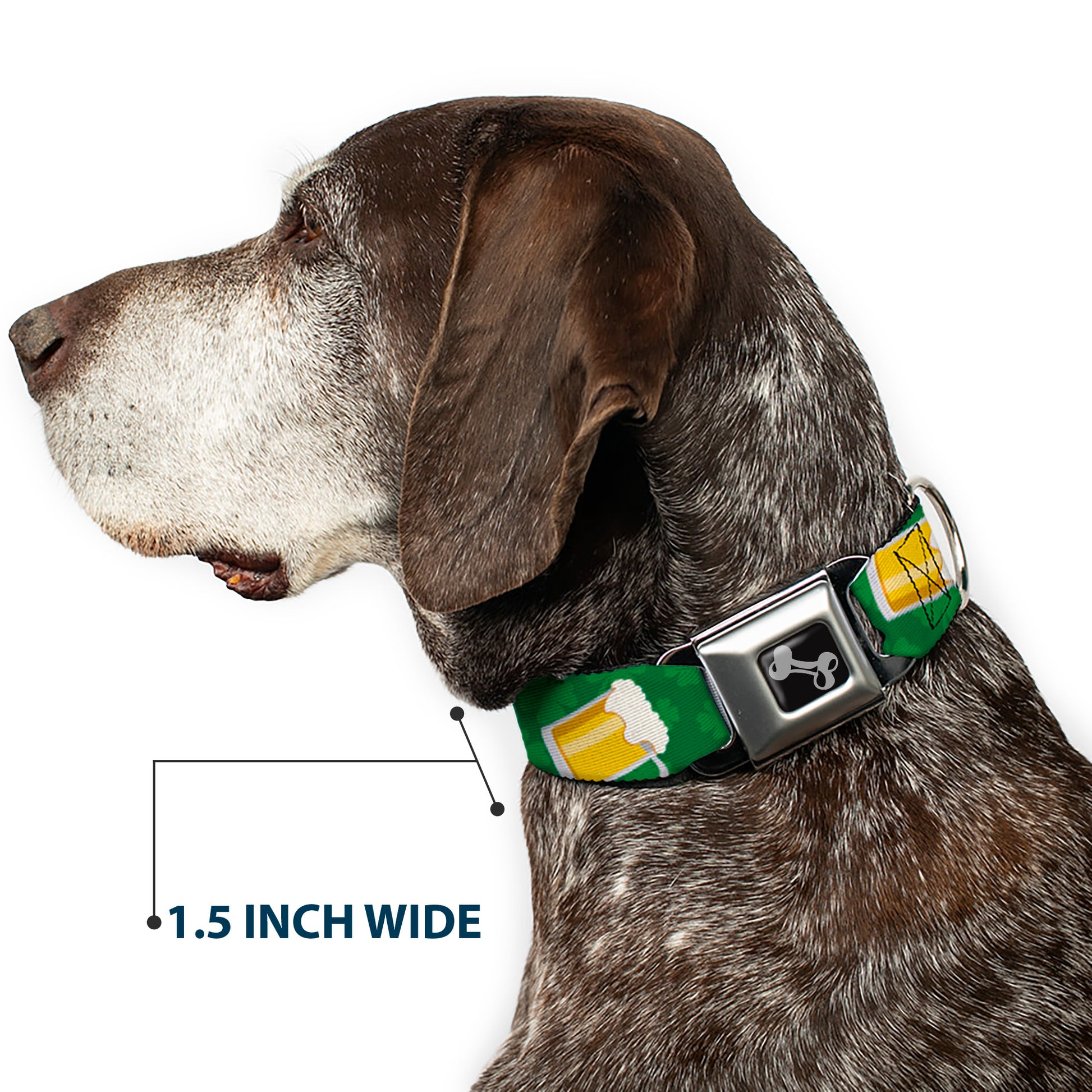 Dog Bone Seatbelt Buckle Collar - St. Pat's Clovers/Beer Mugs Greens Seatbelt Buckle Collars Buckle-Down