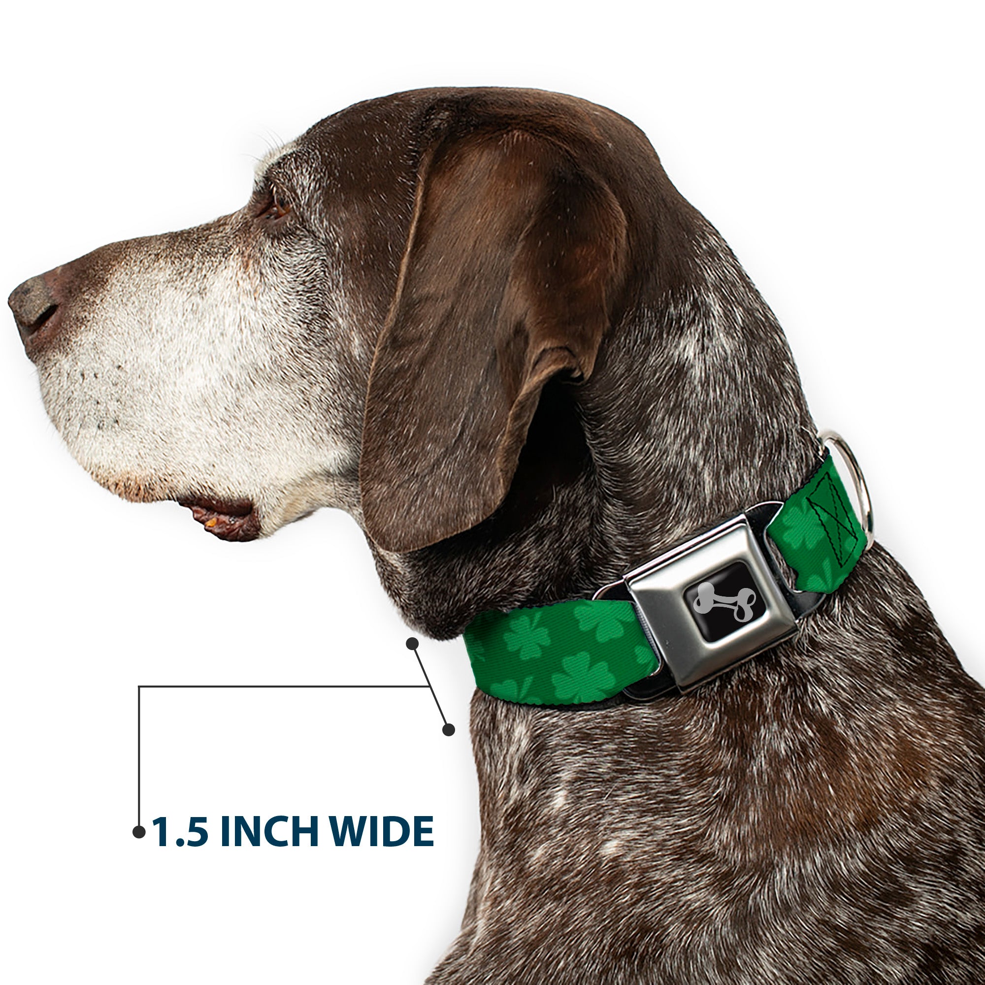 Dog Bone Seatbelt Buckle Collar - St. Pat's Clovers Scattered3 Greens Seatbelt Buckle Collars Buckle-Down
