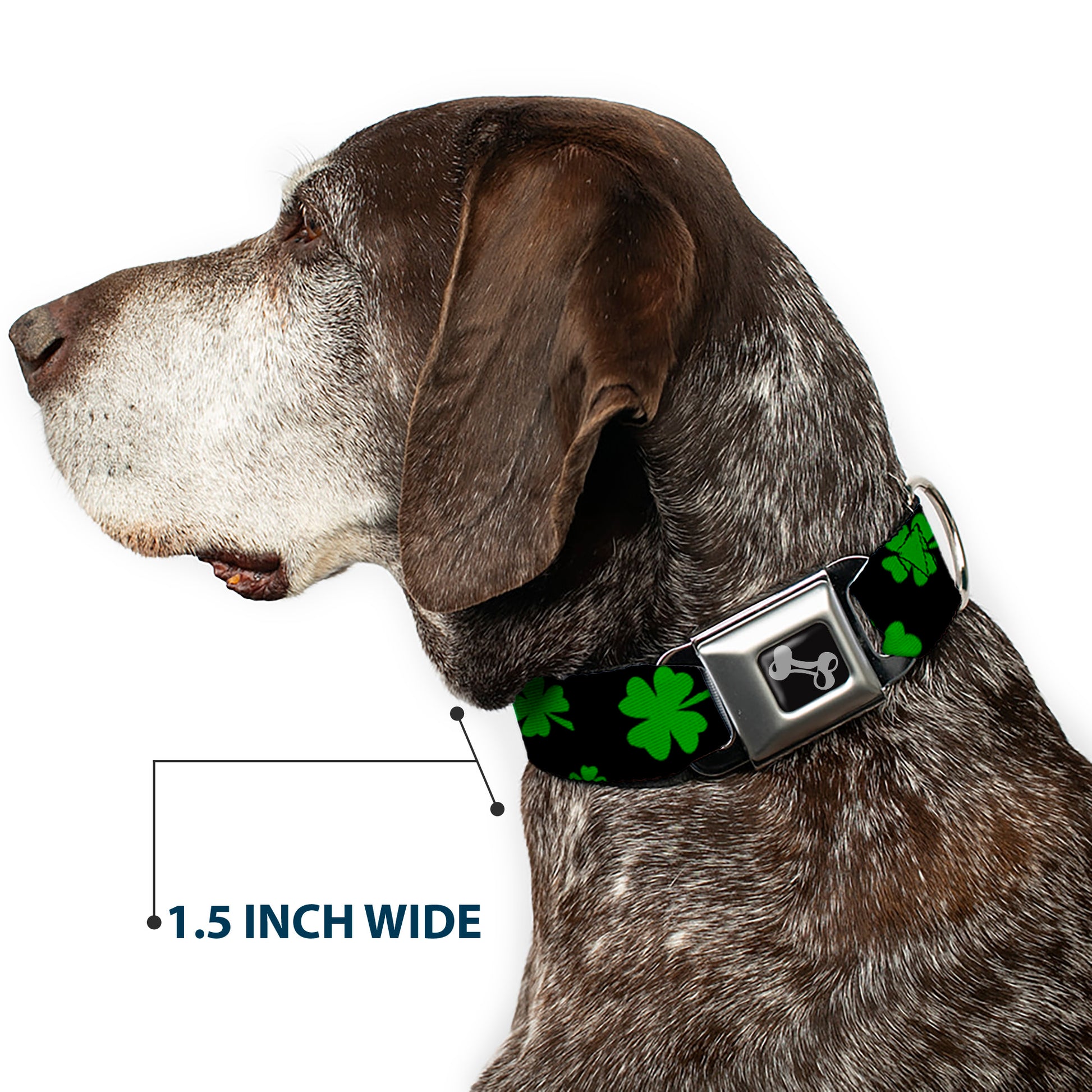 Dog Bone Seatbelt Buckle Collar - St. Pat's Clovers Scattered2 Black/Green Seatbelt Buckle Collars Buckle-Down