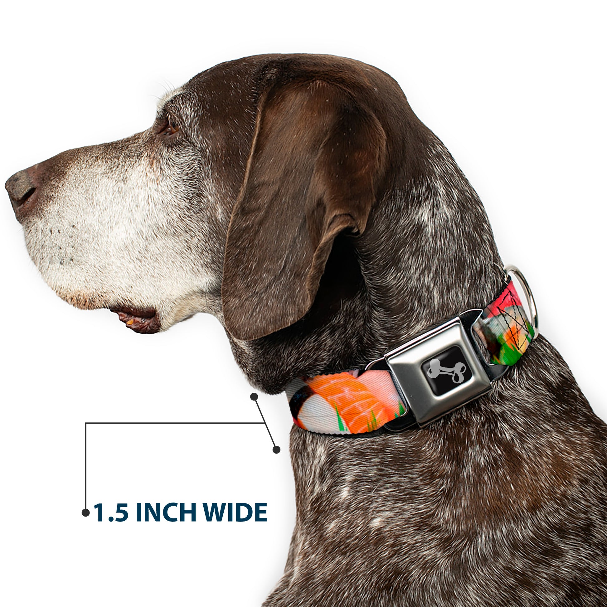 Dog Bone Seatbelt Buckle Collar - Sushi Vivid Seatbelt Buckle Collars Buckle-Down