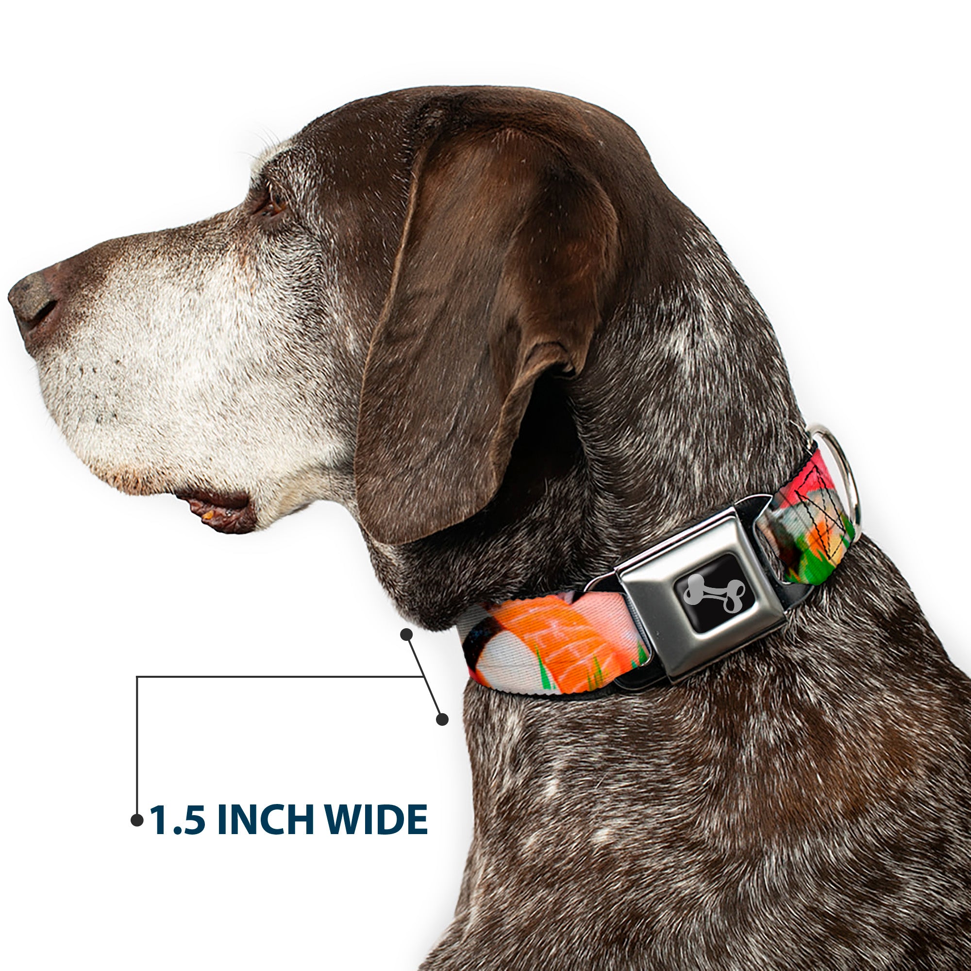 Dog Bone Seatbelt Buckle Collar - Sushi Vivid Seatbelt Buckle Collars Buckle-Down