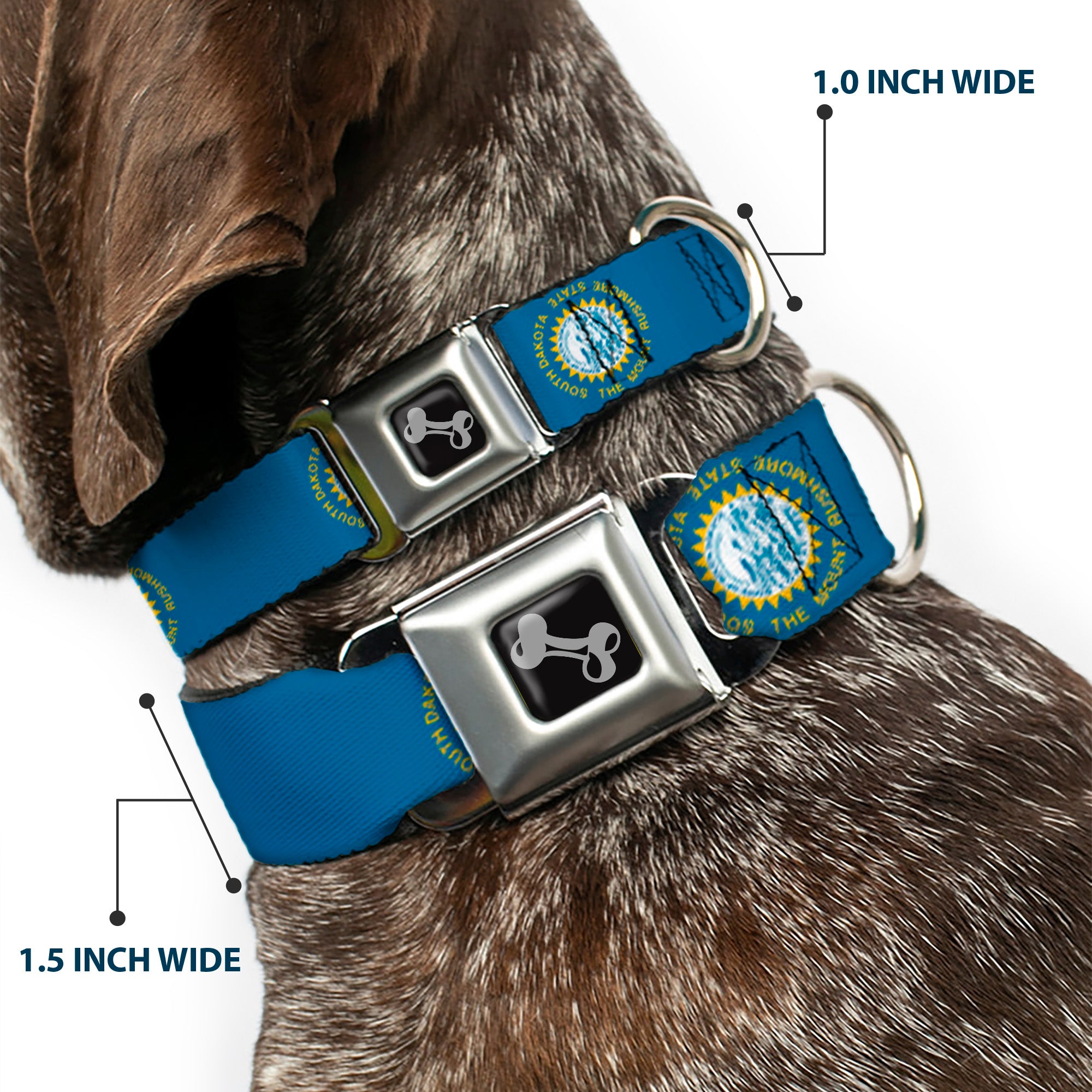 Dog Bone Seatbelt Buckle Collar - South Dakota Flags Seatbelt Buckle Collars Buckle-Down