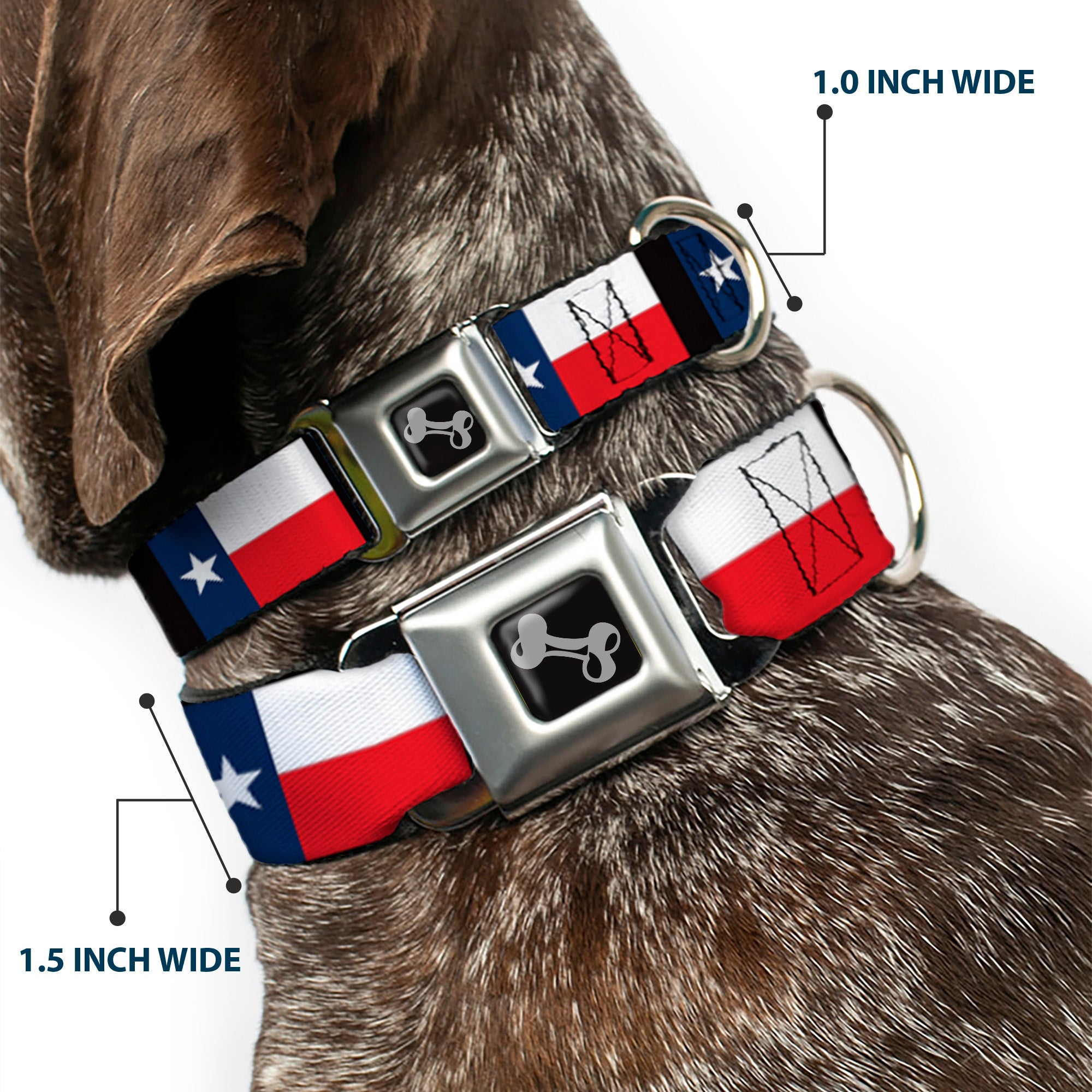 Dog Bone Seatbelt Buckle Collar - Texas Flag/Black Seatbelt Buckle Collars Buckle-Down