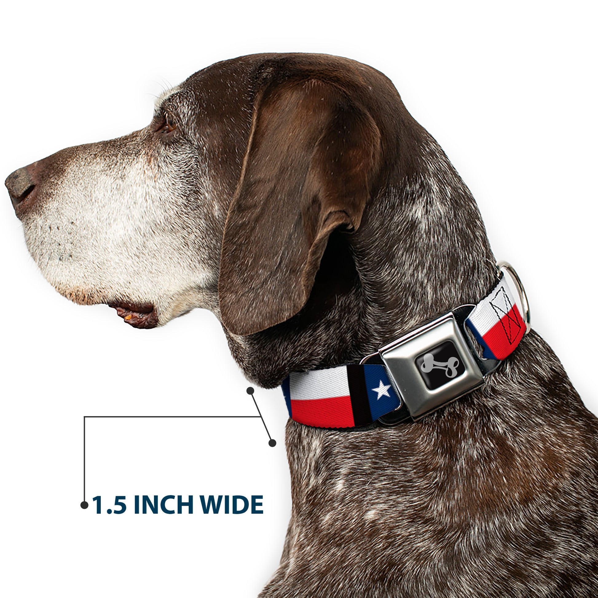 Dog Bone Seatbelt Buckle Collar - Texas Flag/Black Seatbelt Buckle Collars Buckle-Down