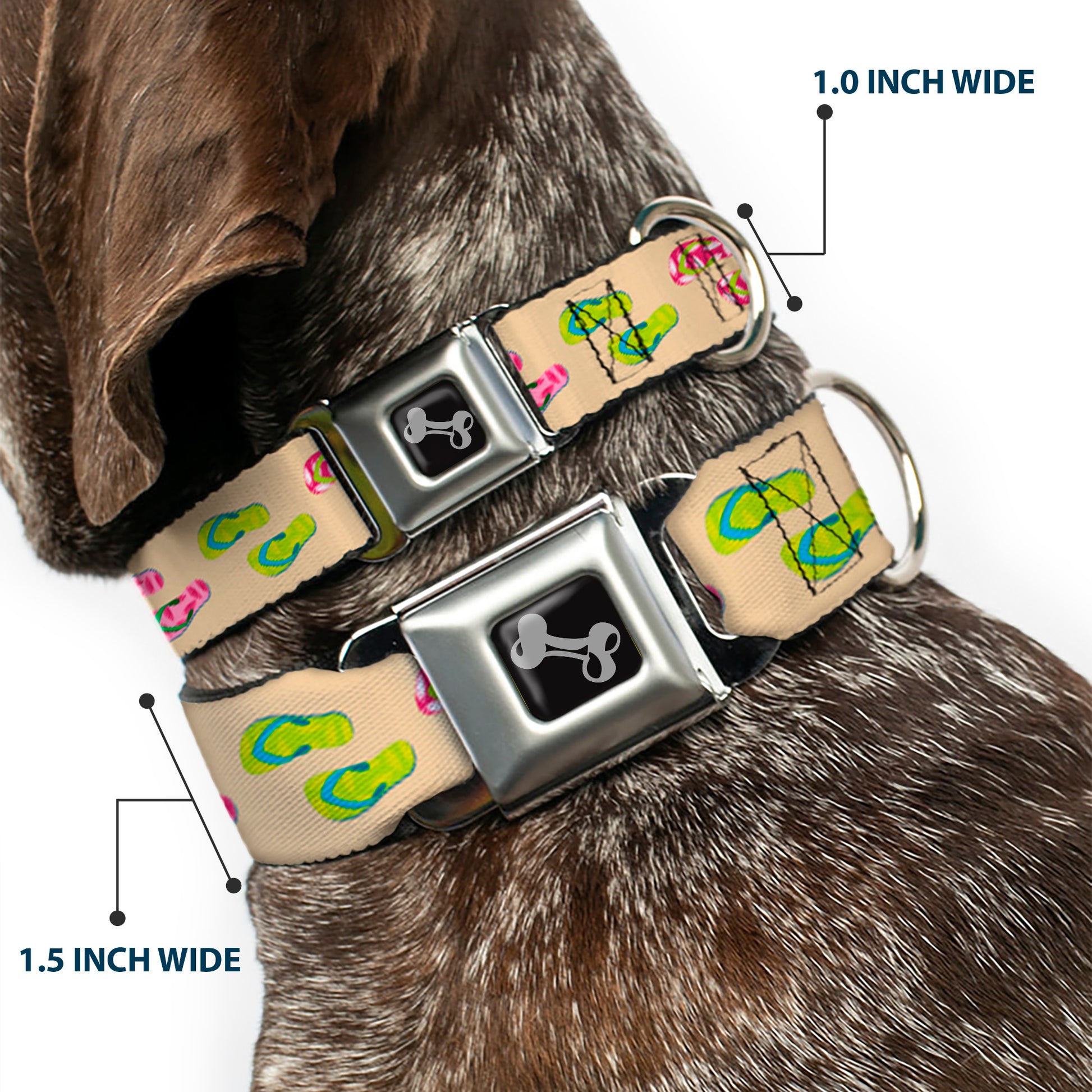 Dog Bone Seatbelt Buckle Collar - Tropical Flip Flops Tan/Multi Color Seatbelt Buckle Collars Buckle-Down