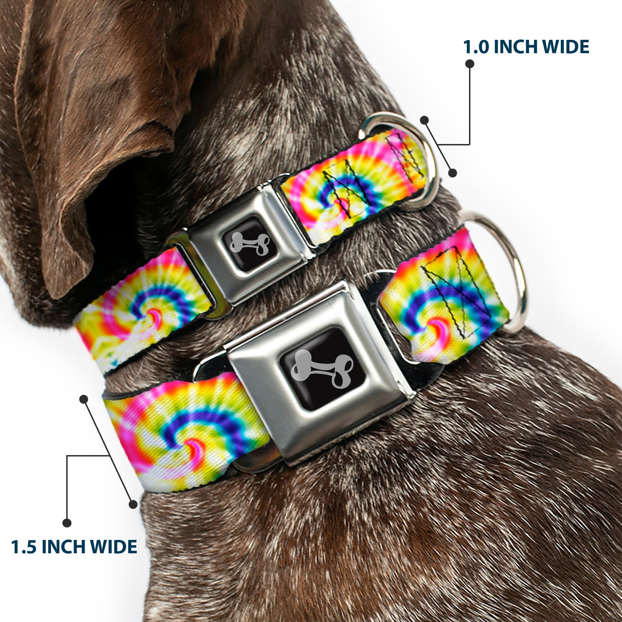 Dog Bone Seatbelt Buckle Collar - Tie Dye Swirl Multi Color/White Seatbelt Buckle Collars Buckle-Down