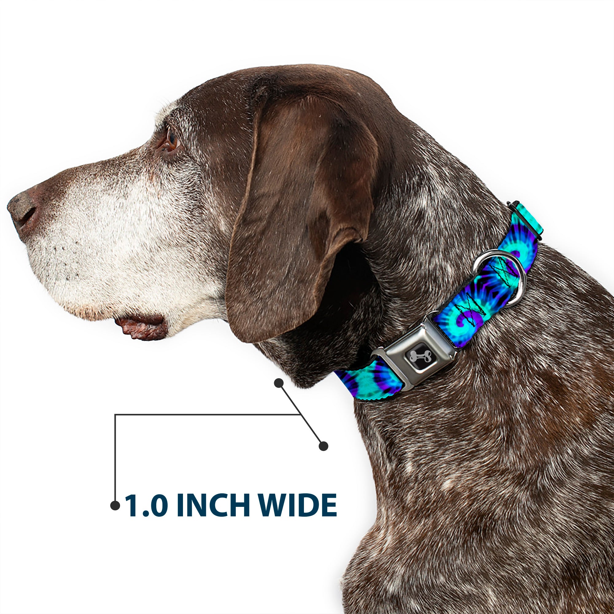 Dog Bone Seatbelt Buckle Collar - Tie Dye Swirl Purples/Blues Seatbelt Buckle Collars Buckle-Down