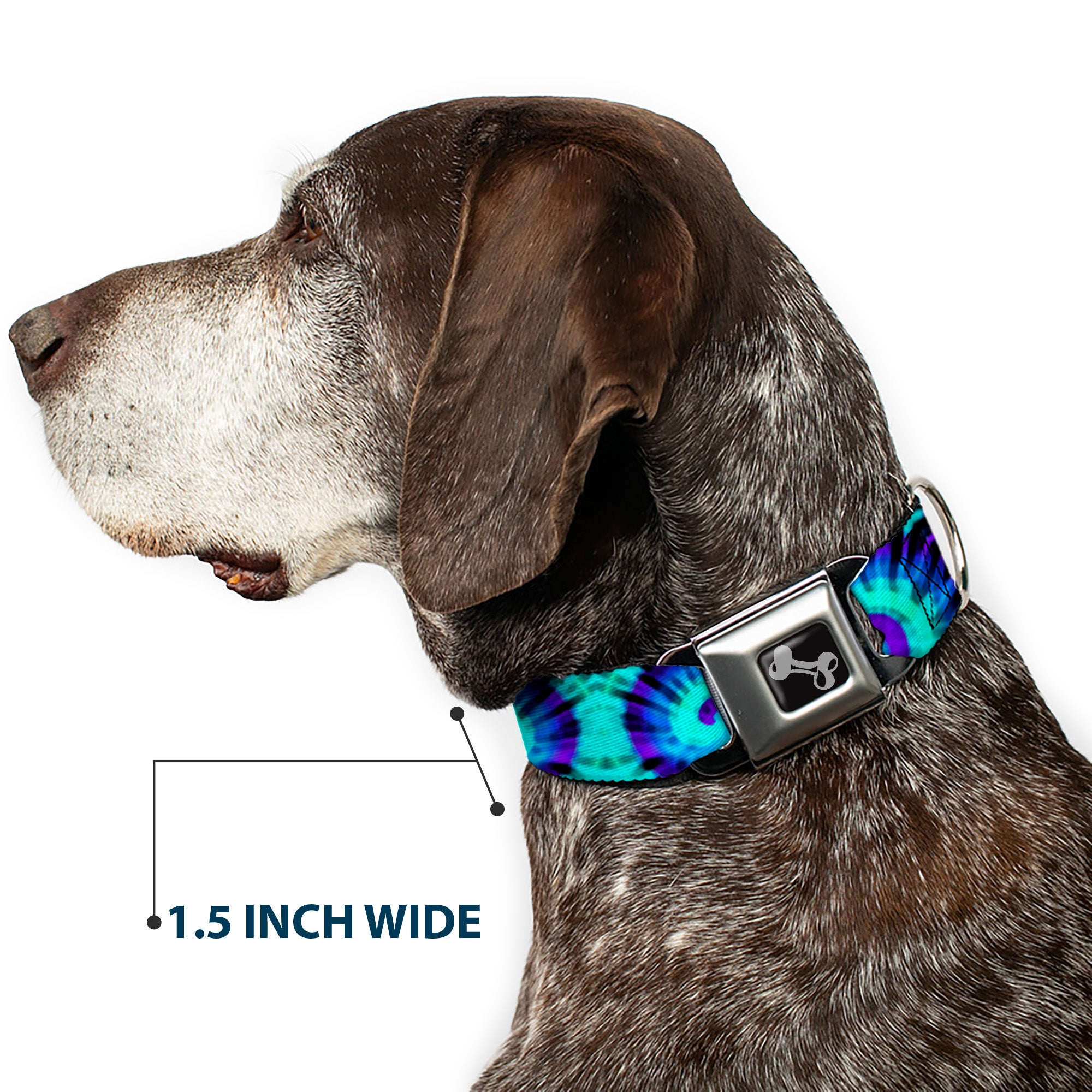 Dog Bone Seatbelt Buckle Collar - Tie Dye Swirl Purples/Blues Seatbelt Buckle Collars Buckle-Down