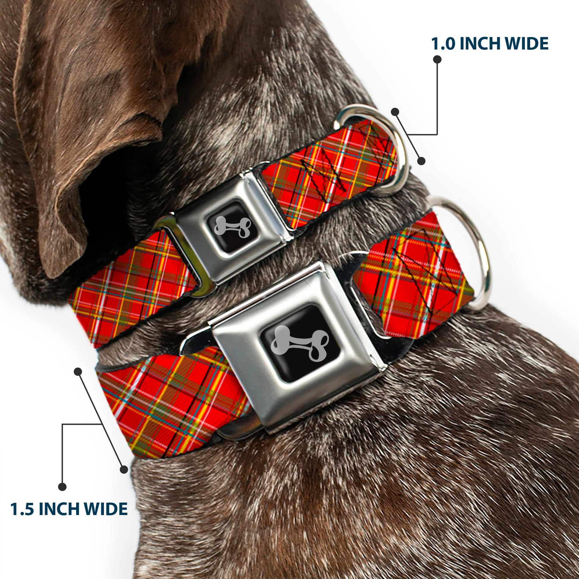 Dog Bone Seatbelt Buckle Collar - Tartan Plaid2 Red/Green/Yellow Seatbelt Buckle Collars Buckle-Down