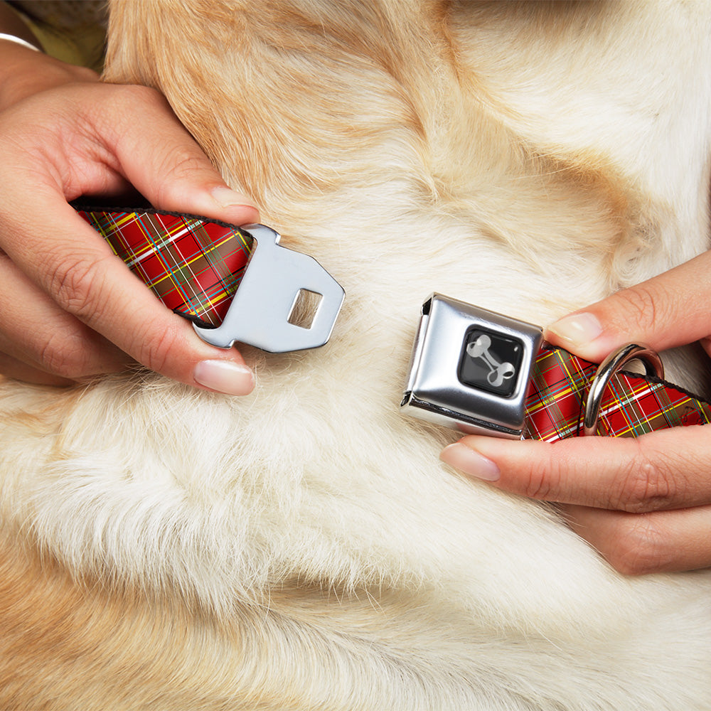 Dog Bone Seatbelt Buckle Collar - Tartan Plaid2 Red/Green/Yellow Seatbelt Buckle Collars Buckle-Down