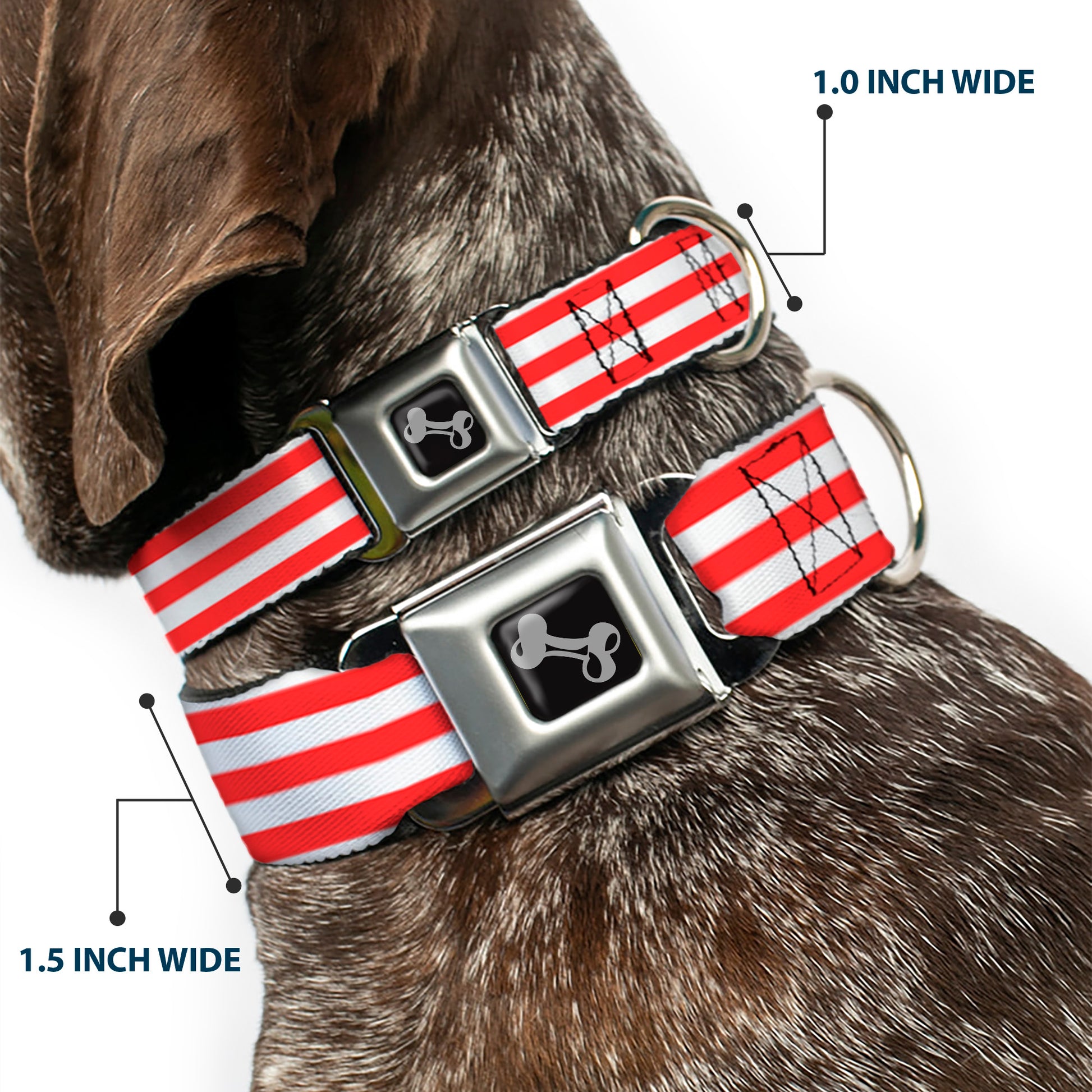 Dog Bone Seatbelt Buckle Collar - Triple Stripe White/Red Seatbelt Buckle Collars Buckle-Down