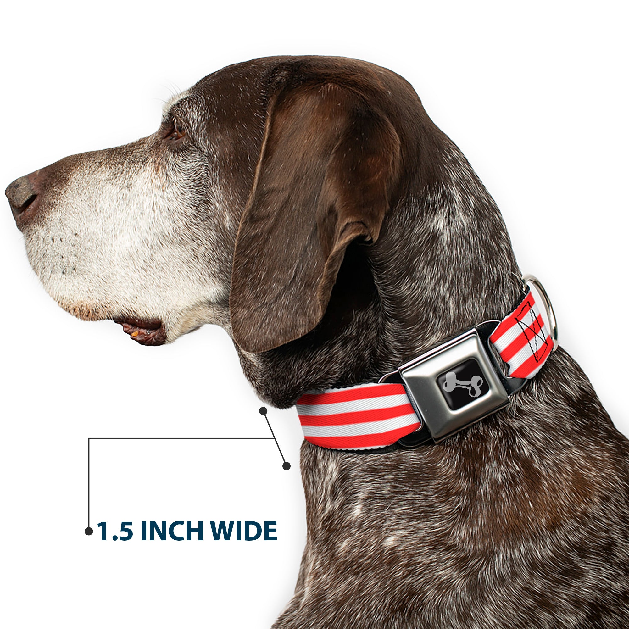 Dog Bone Seatbelt Buckle Collar - Triple Stripe White/Red Seatbelt Buckle Collars Buckle-Down