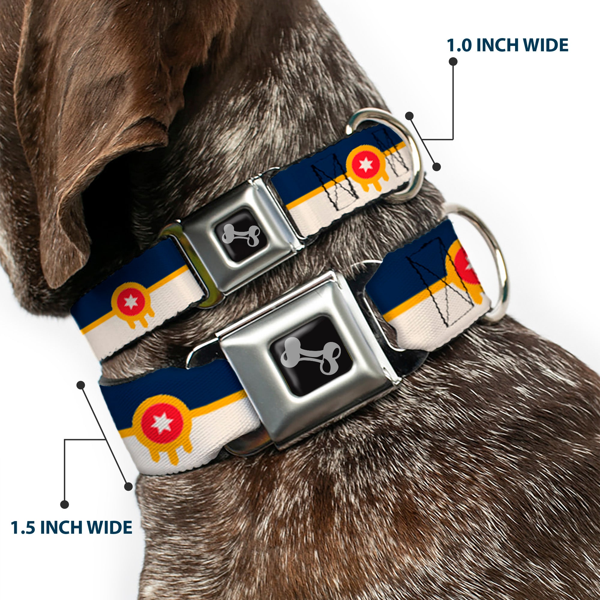 Dog Bone Black/Silver Seatbelt Buckle Collar - Tulsa Oklahoma City Flag Navy Blue/Gold/Red/Beige Seatbelt Buckle Collars Buckle-Down