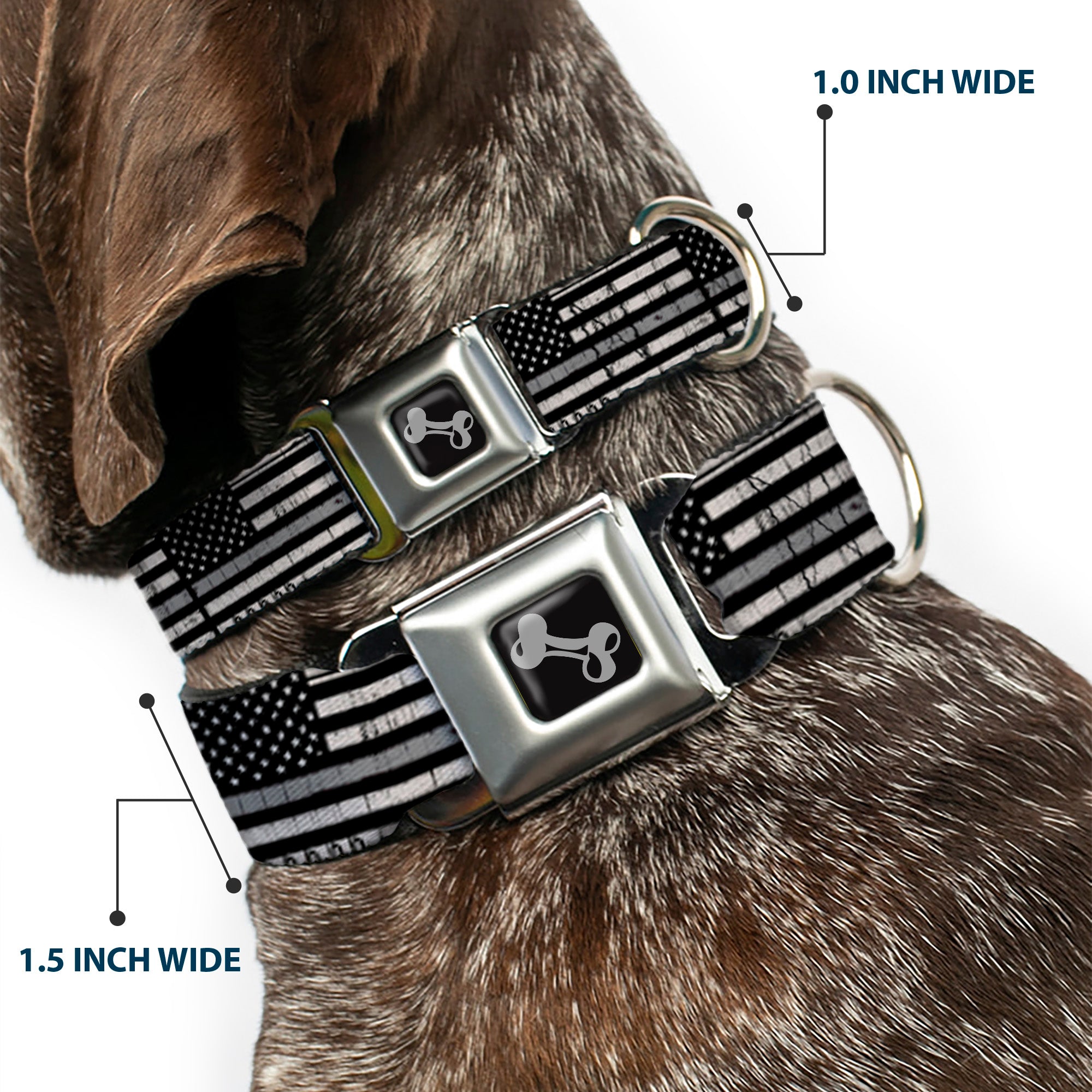 Dog Bone Black/Silver Seatbelt Buckle Collar - Thin Gray Line Flag Weathered Black/Grays Seatbelt Buckle Collars Buckle-Down, Inc.