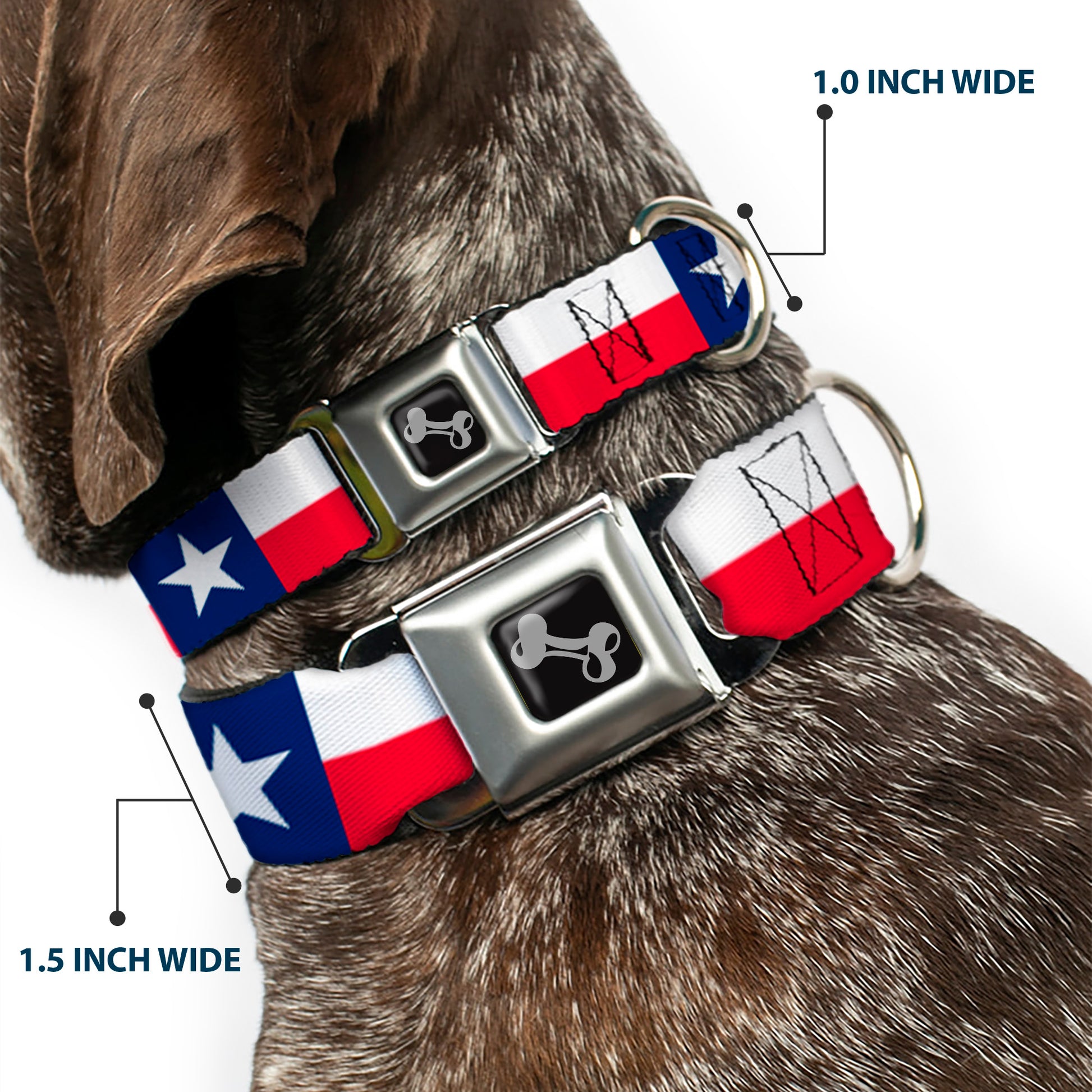 Dog Bone Black/Silver Seatbelt Buckle Collar - Texas Flag Continuous Repeat Seatbelt Buckle Collars Buckle-Down