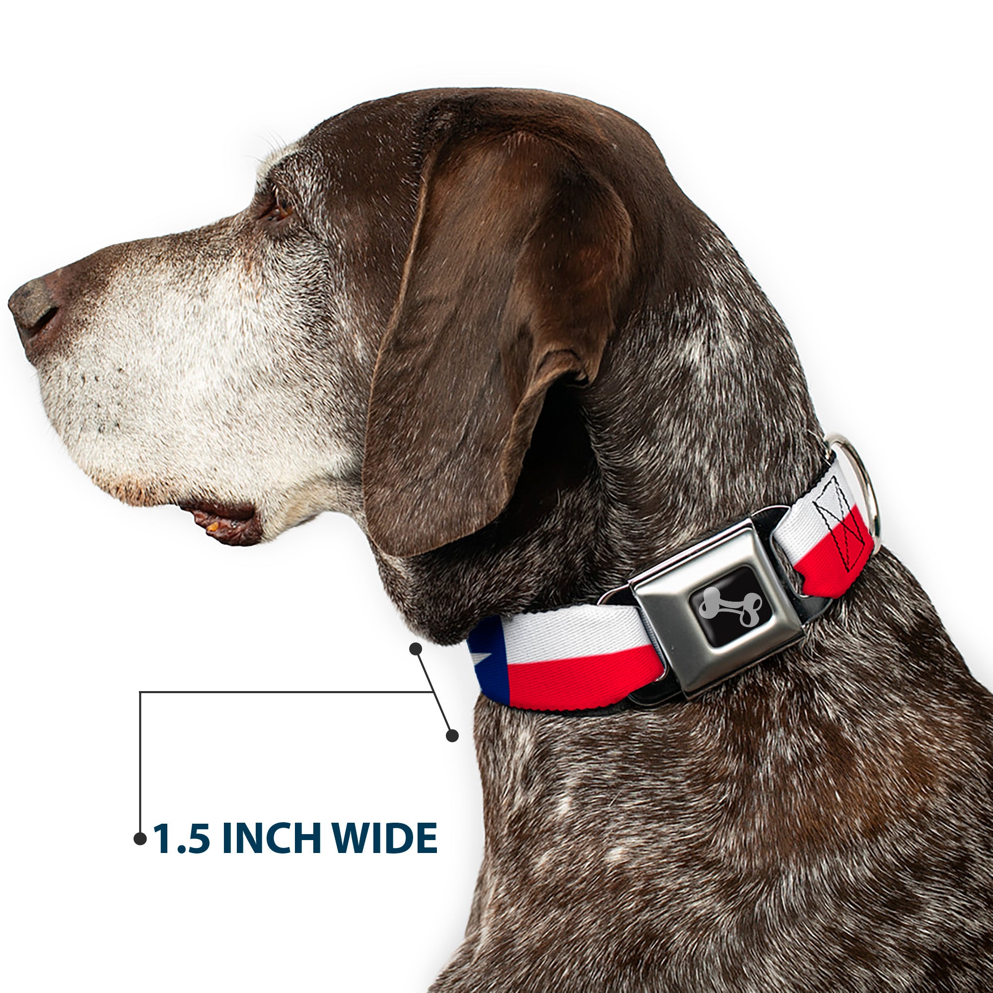 Dog Bone Black/Silver Seatbelt Buckle Collar - Texas Flag Continuous Repeat Seatbelt Buckle Collars Buckle-Down