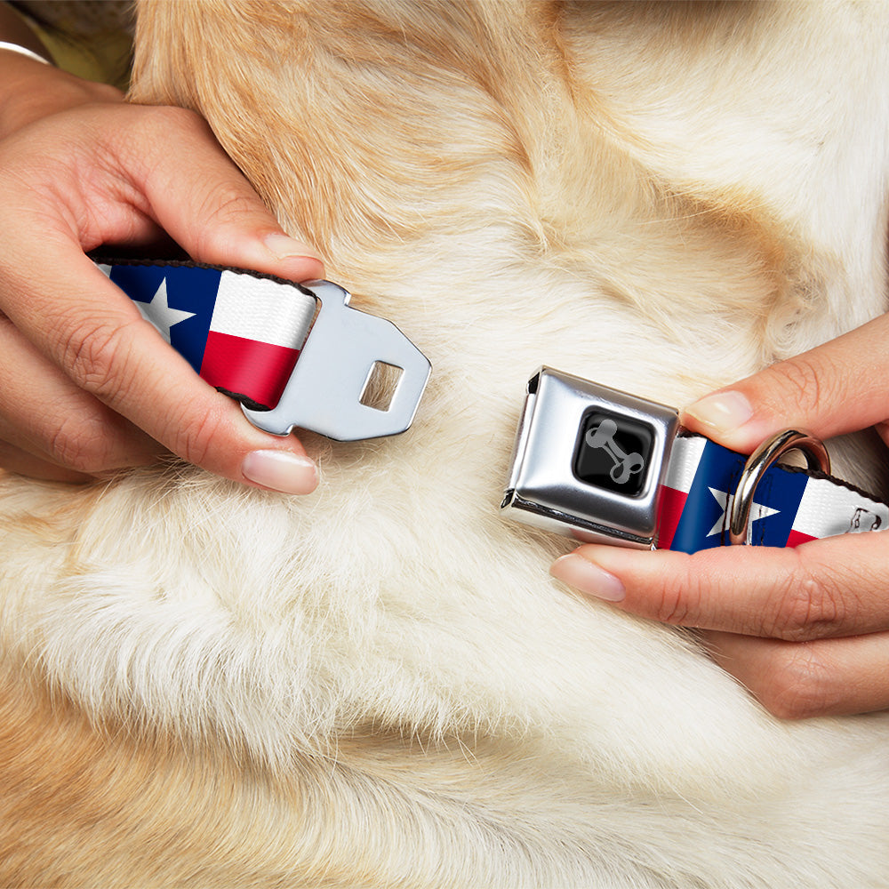 Dog Bone Black/Silver Seatbelt Buckle Collar - Texas Flag Continuous Repeat Seatbelt Buckle Collars Buckle-Down