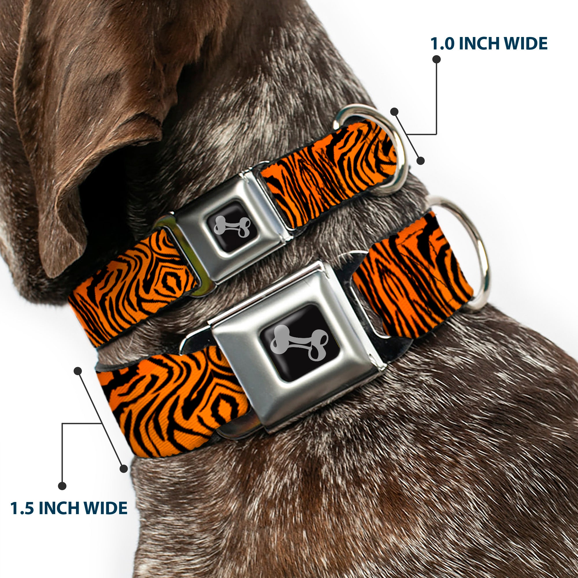 Dog Bone Black/Silver Seatbelt Buckle Collar - Tiger2 Orange/Black Seatbelt Buckle Collars Buckle-Down