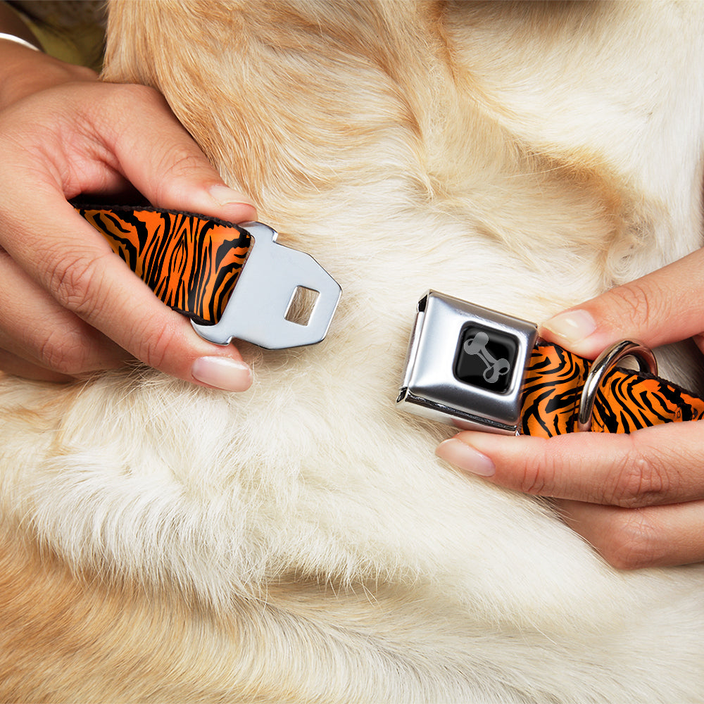 Dog Bone Black/Silver Seatbelt Buckle Collar - Tiger2 Orange/Black Seatbelt Buckle Collars Buckle-Down