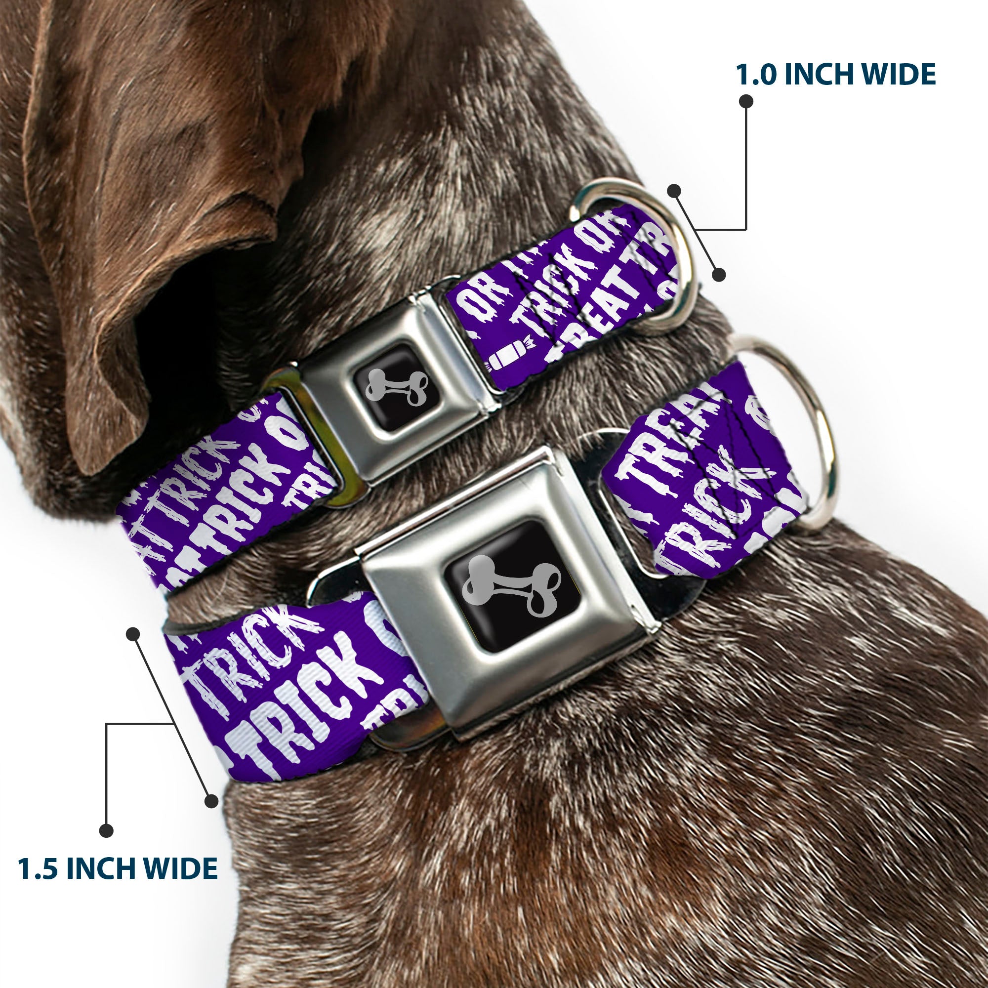 Dog Bone Black/Silver Seatbelt Buckle Collar - TRICK OR TREAT Text Collage Purple/White Seatbelt Buckle Collars Buckle-Down