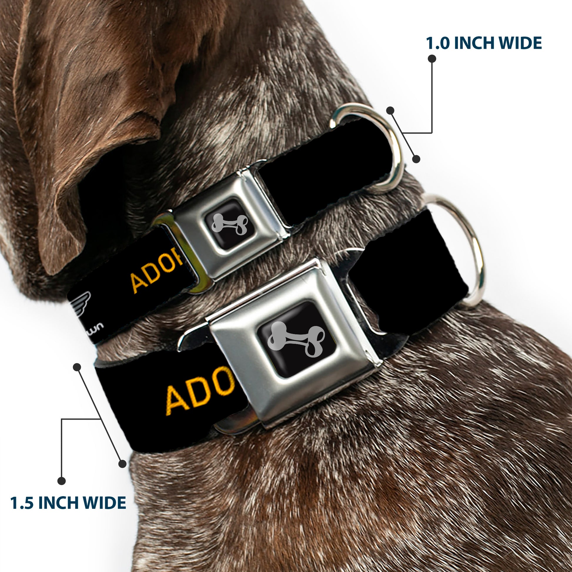 Dog Bone Seatbelt Buckle Collar - Buckle-Down Logo ADOPT, DON'T SHOP Black/Yellow Seatbelt Buckle Collars Buckle-Down