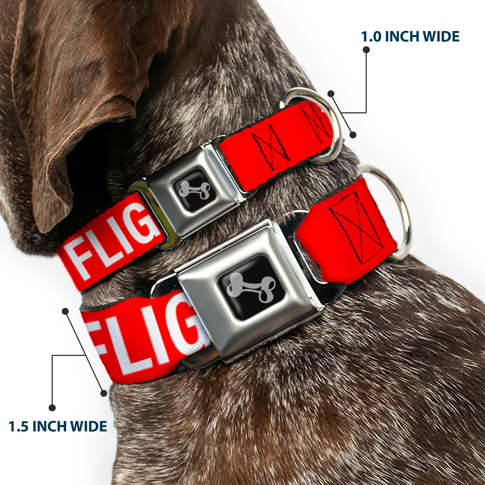 Dog Bone Black/Silver Seatbelt Buckle Collar - Buckle-Down REMOVE BEFORE FLIGHT Red/White Seatbelt Buckle Collars Buckle-Down
