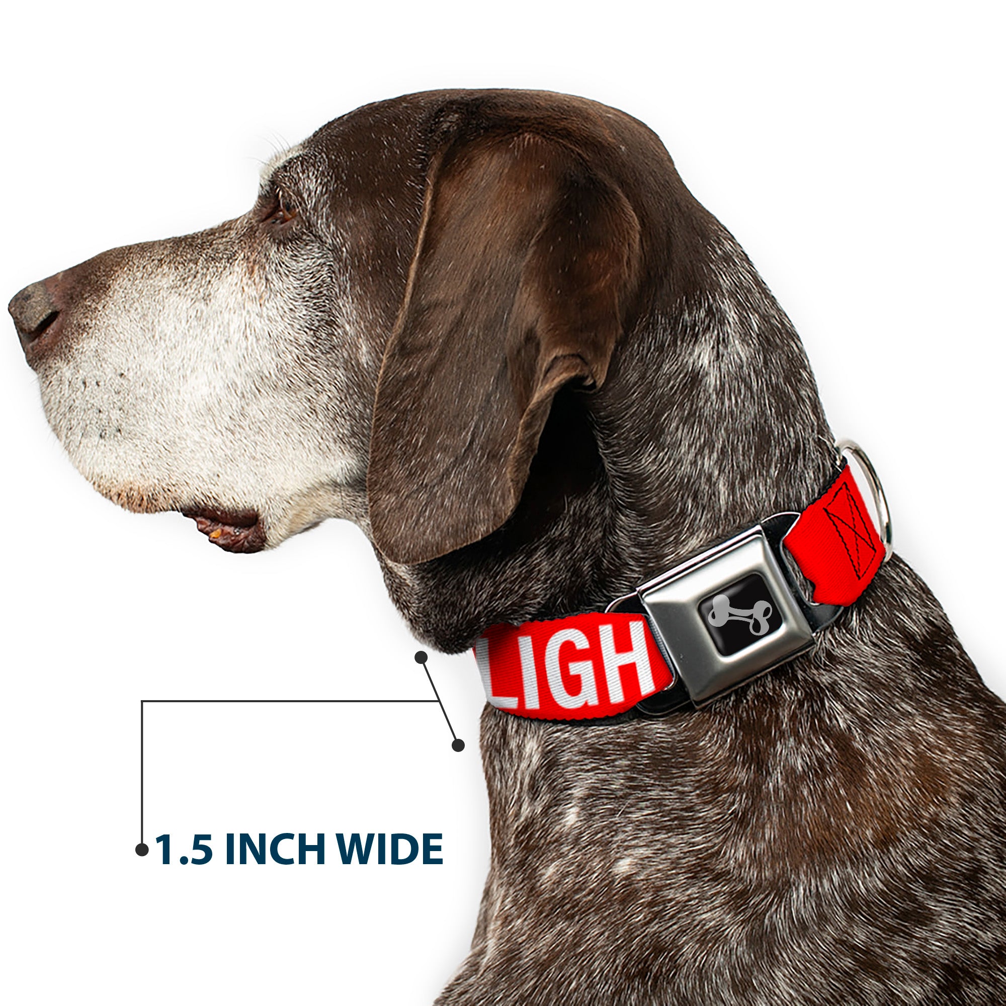 Dog Bone Black/Silver Seatbelt Buckle Collar - Buckle-Down REMOVE BEFORE FLIGHT Red/White Seatbelt Buckle Collars Buckle-Down