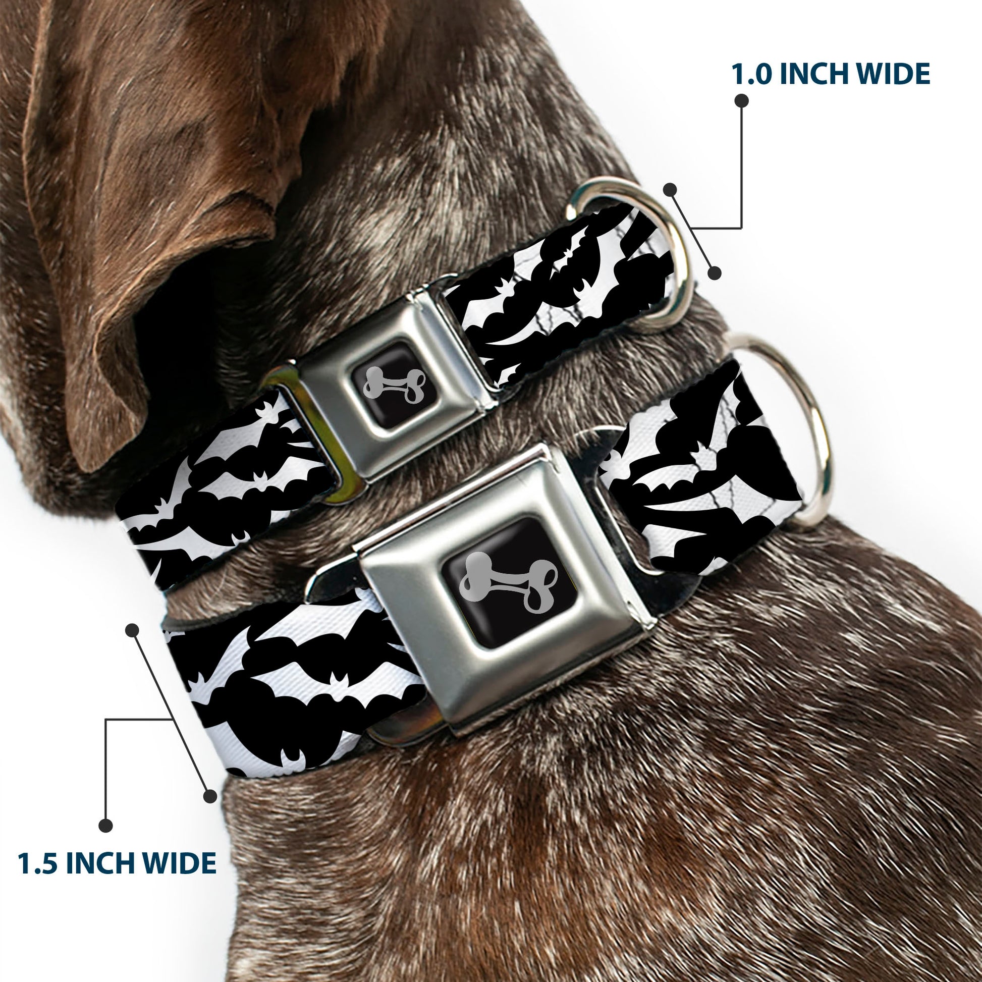 Dog Bone Black/Silver Seatbelt Buckle Collar - Bats Flying Scattered Black/White Seatbelt Buckle Collars Buckle-Down