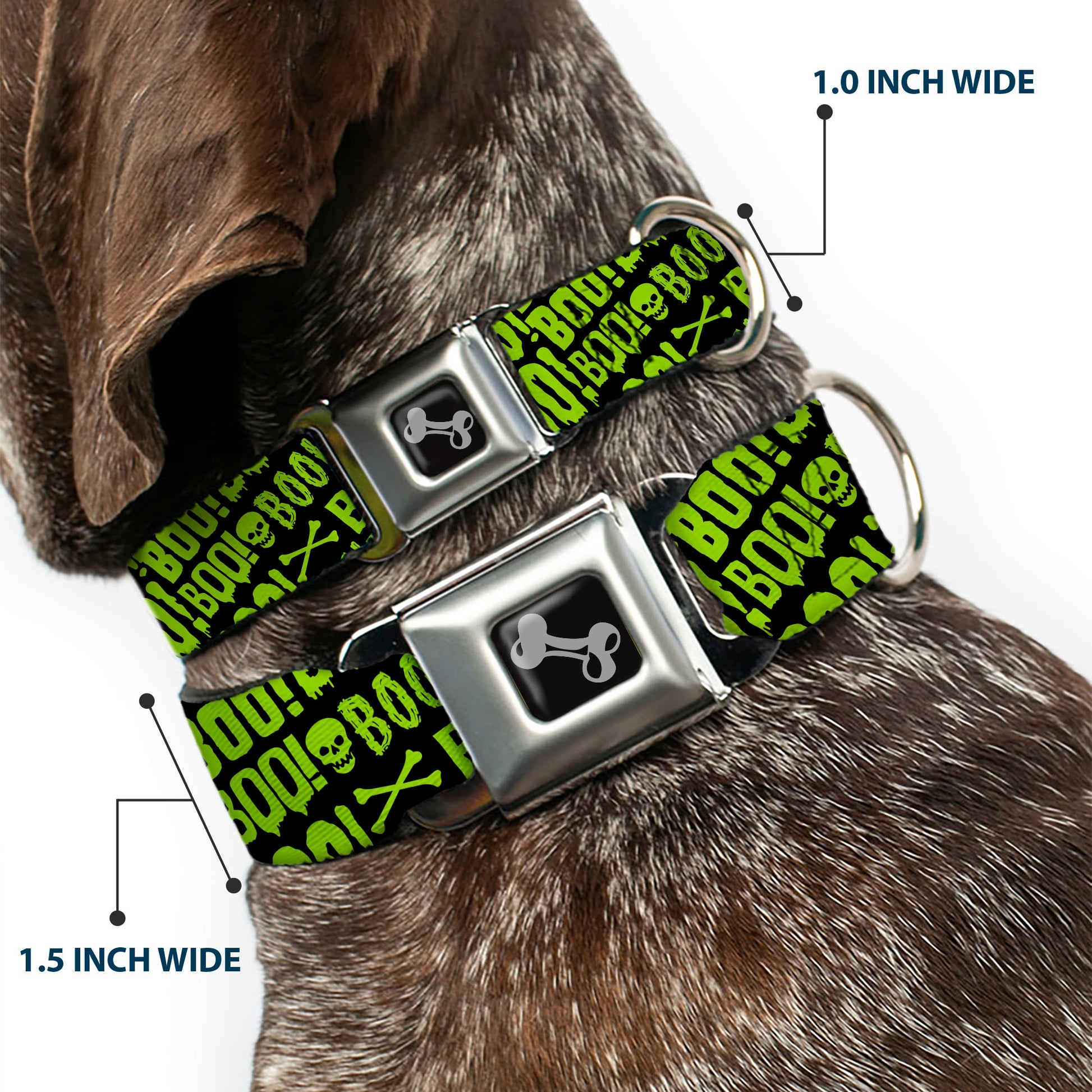 Dog Bone Black/Silver Seatbelt Buckle Collar - BOO Text Skull and Crossbones Black/Green Seatbelt Buckle Collars Buckle-Down