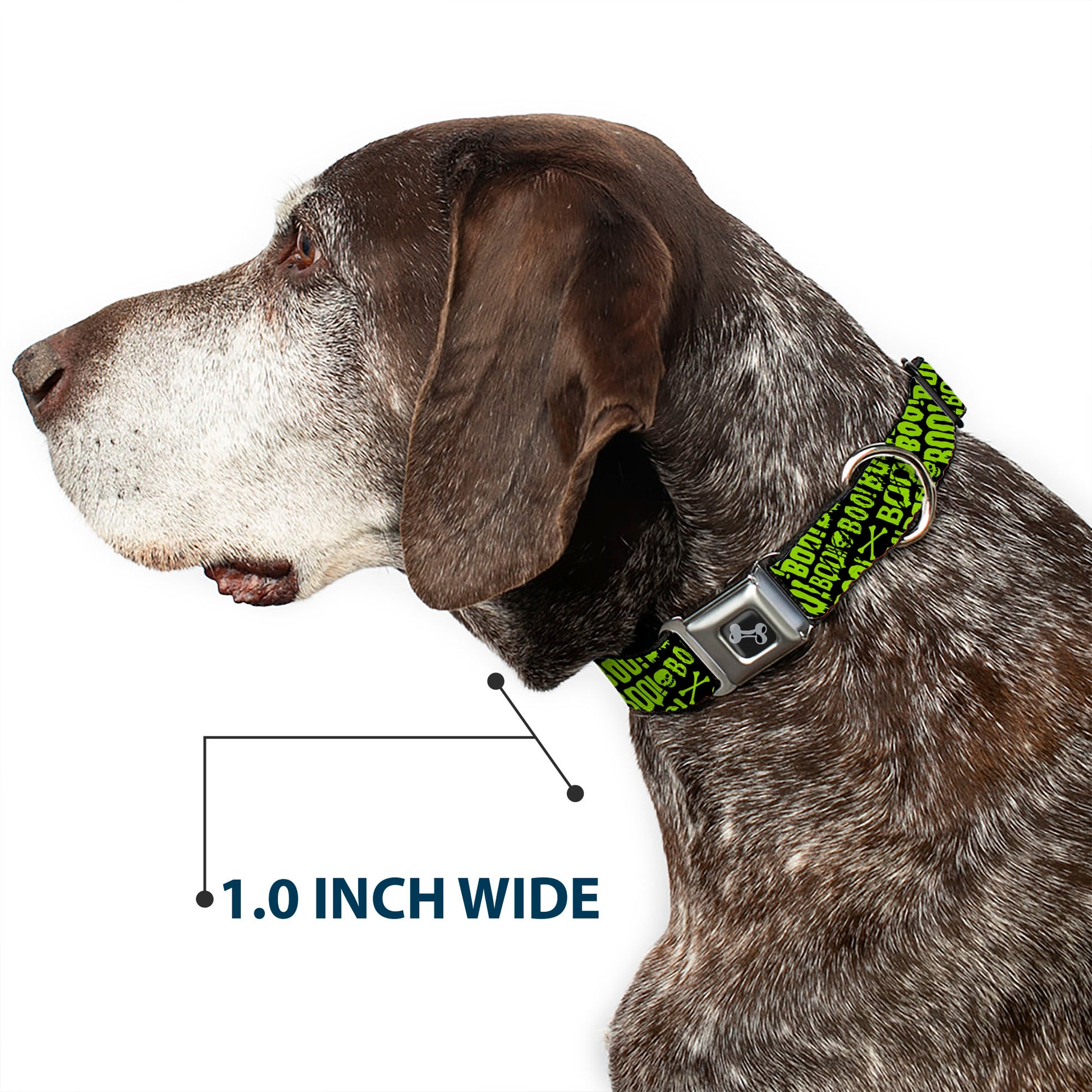 Dog Bone Black/Silver Seatbelt Buckle Collar - BOO Text Skull and Crossbones Black/Green Seatbelt Buckle Collars Buckle-Down