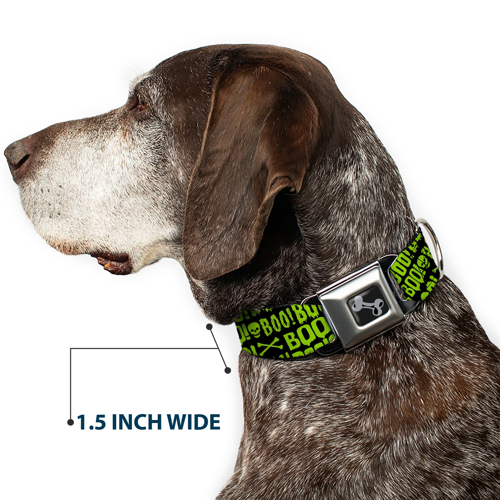 Dog Bone Black/Silver Seatbelt Buckle Collar - BOO Text Skull and Crossbones Black/Green Seatbelt Buckle Collars Buckle-Down