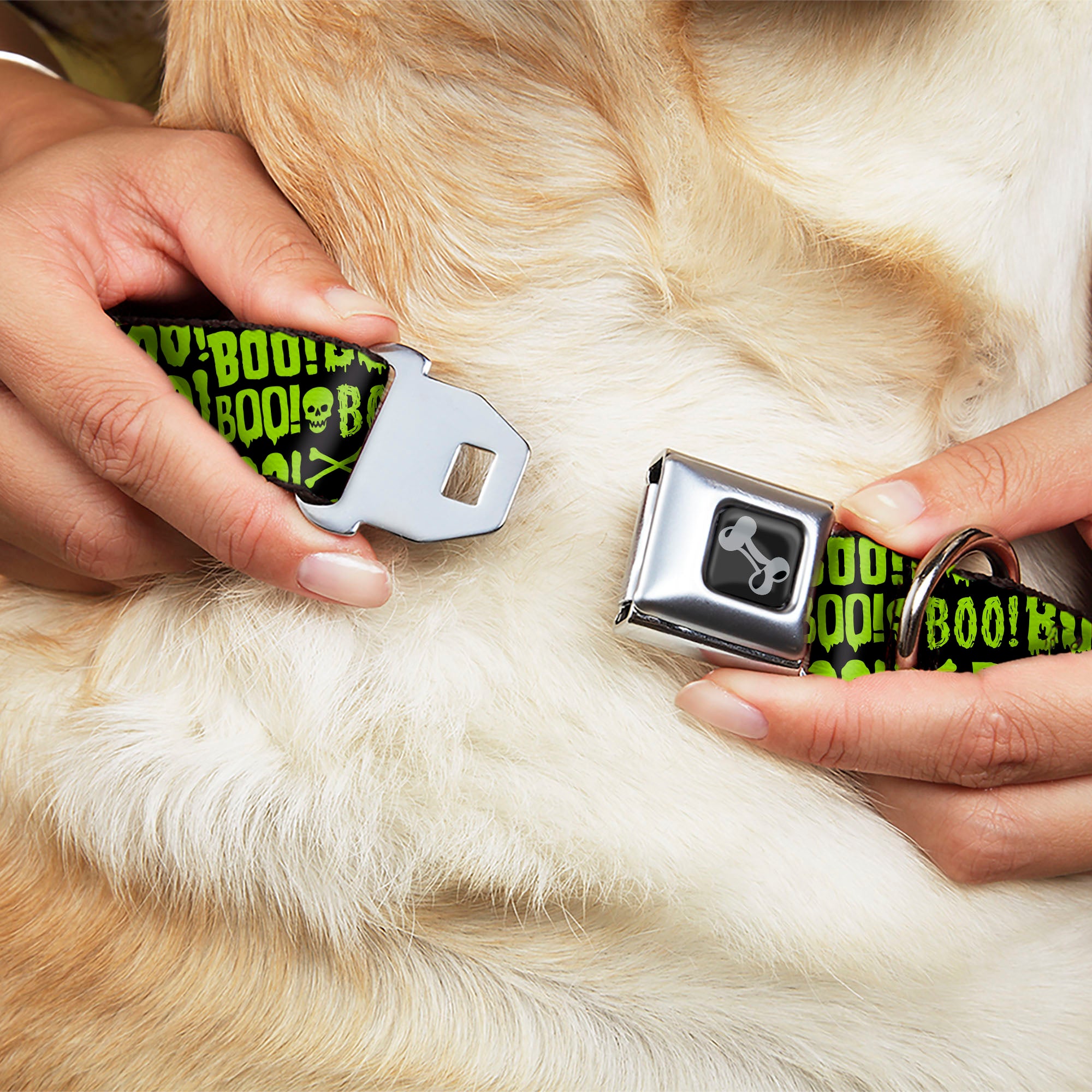 Dog Bone Black/Silver Seatbelt Buckle Collar - BOO Text Skull and Crossbones Black/Green Seatbelt Buckle Collars Buckle-Down